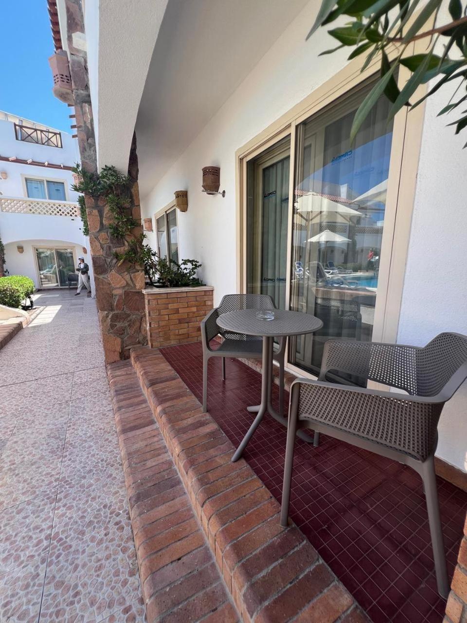 Camel Dive Club & Boutique Hotel - Photo 25