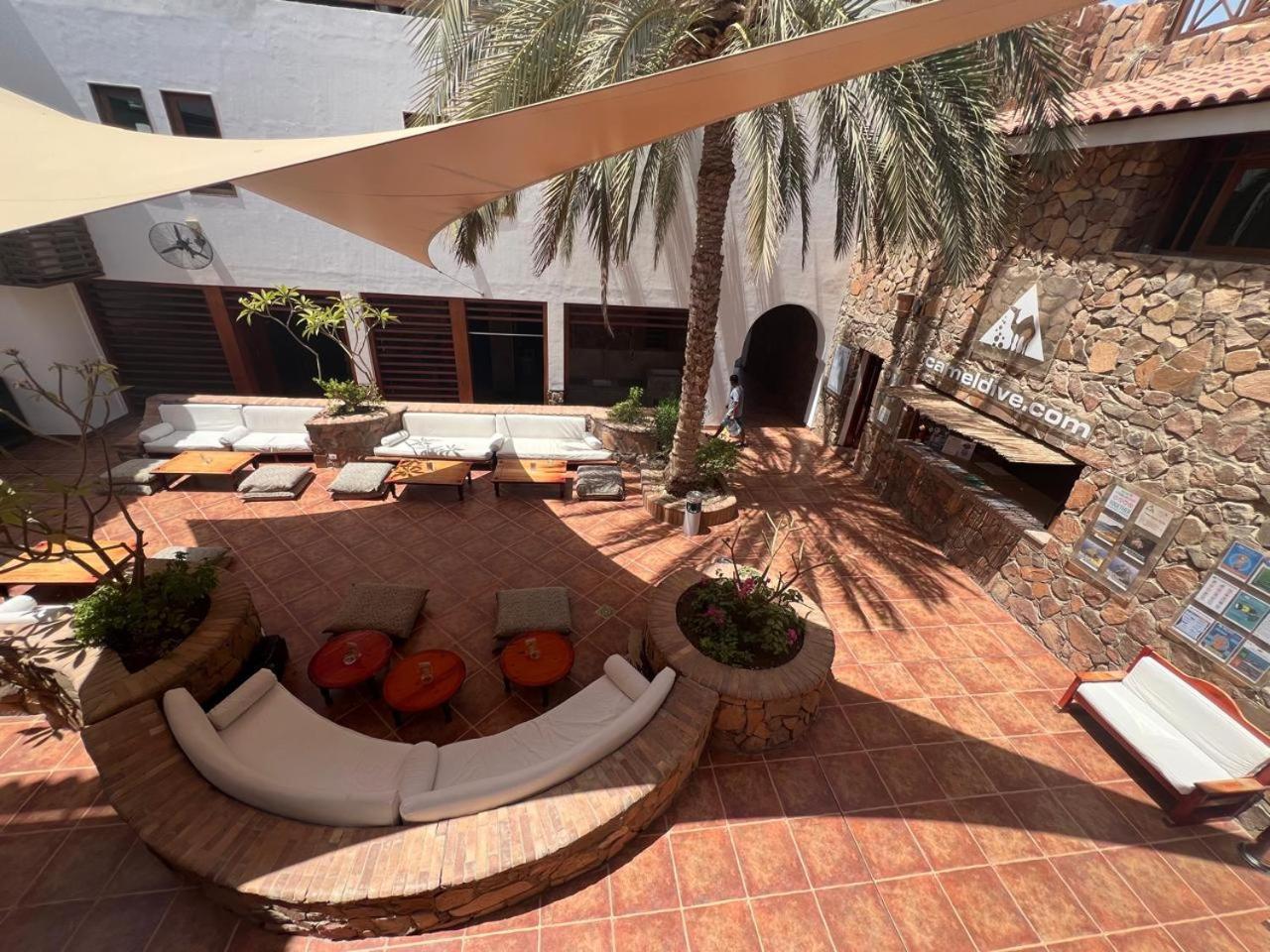 Camel Dive Club & Boutique Hotel - Photo 9