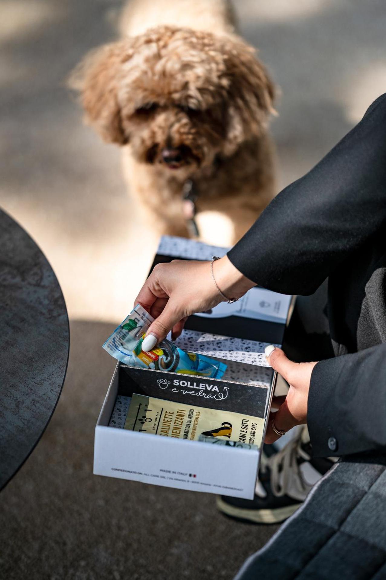 Bellevue Hotel & Resort - Photo 279