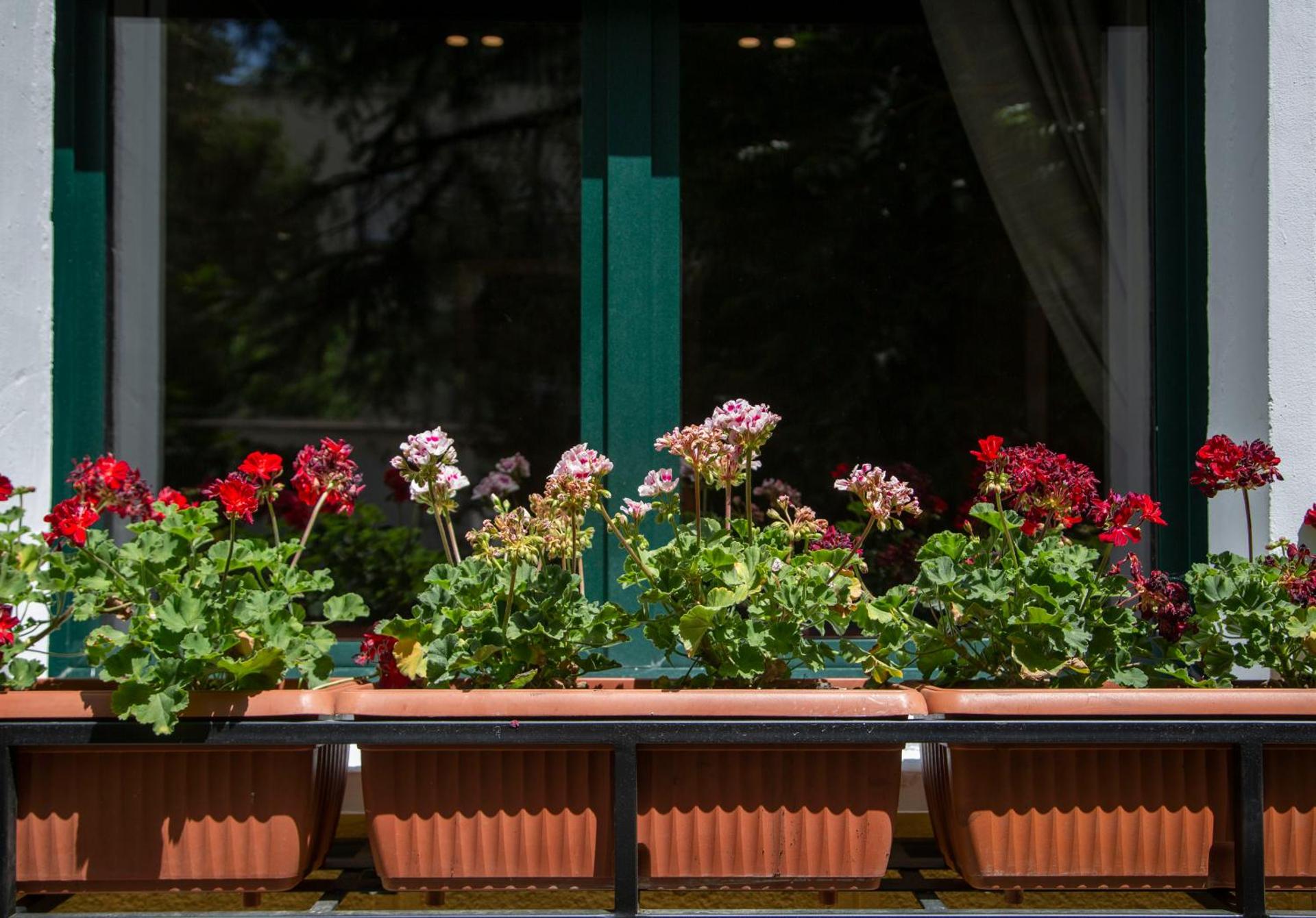 Mullaga Stays - Photo 43