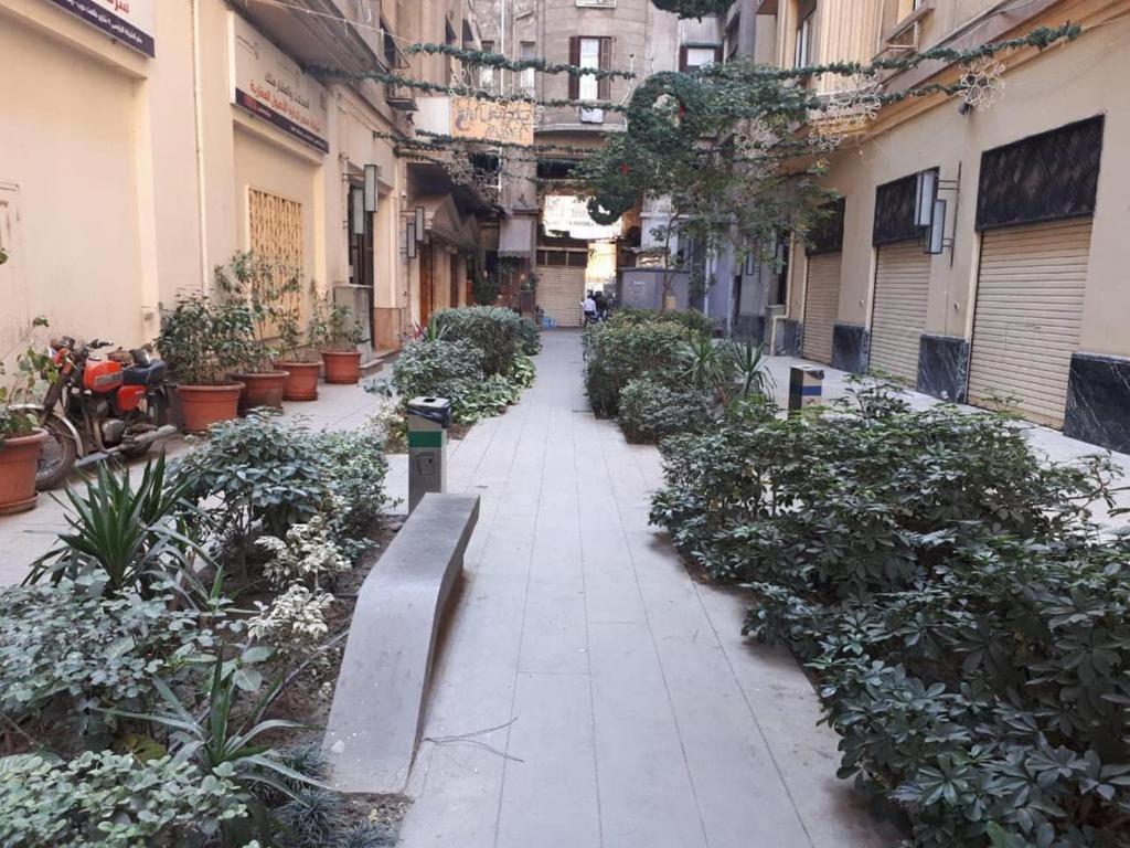 Bella Centro Citta - Photo 31