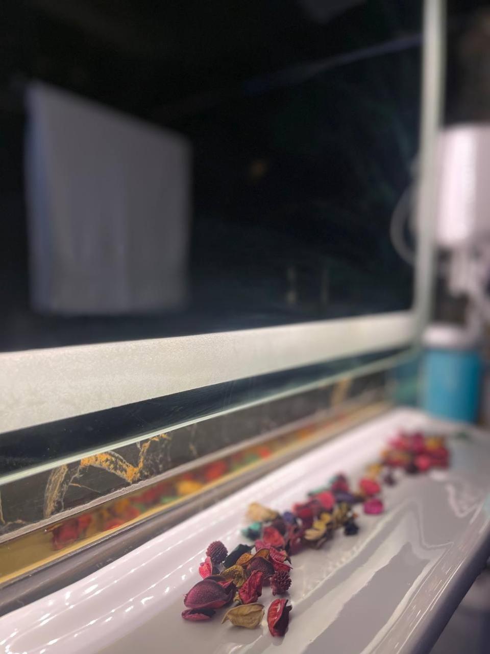 Future Hostel - Photo 30