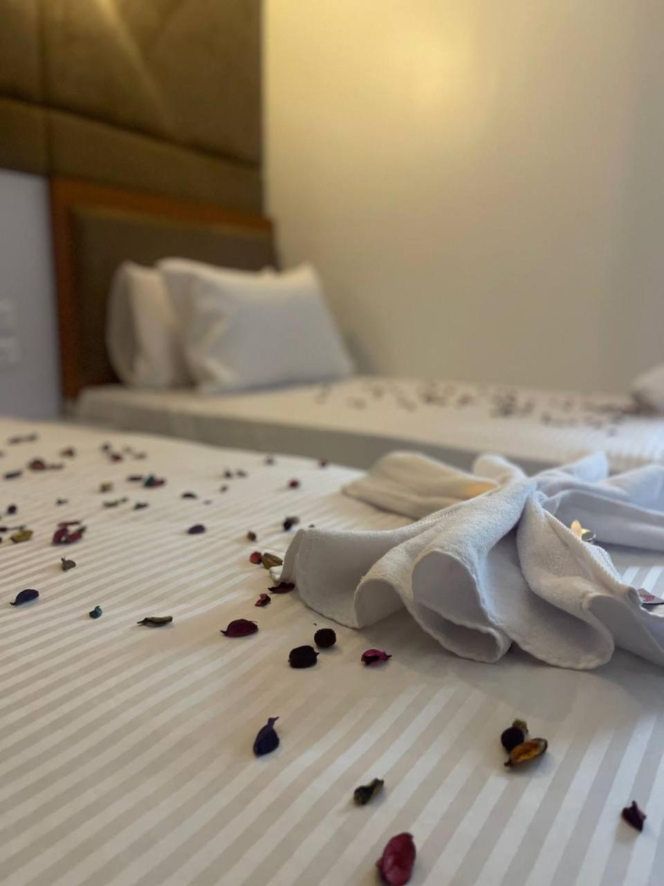 Future Hostel - Photo 215