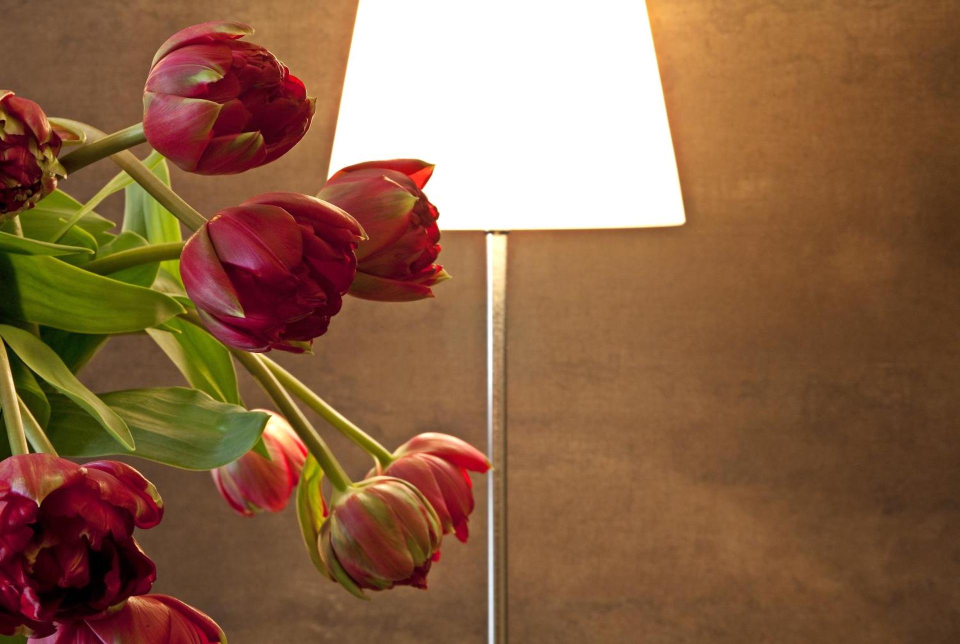 Best Western Hotel Metropoli - Photo 47