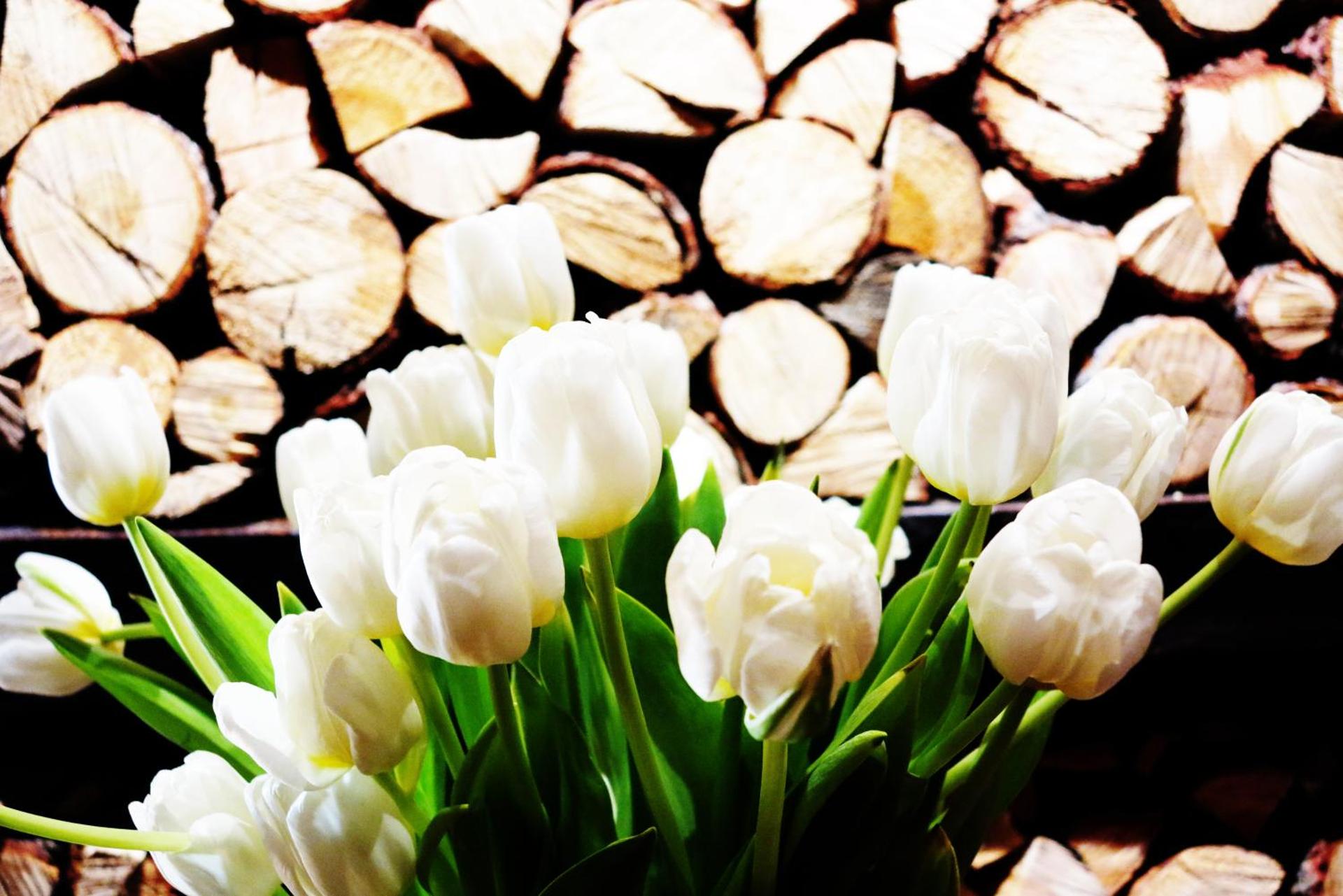 Les Neiges D'Antan - Photo 30