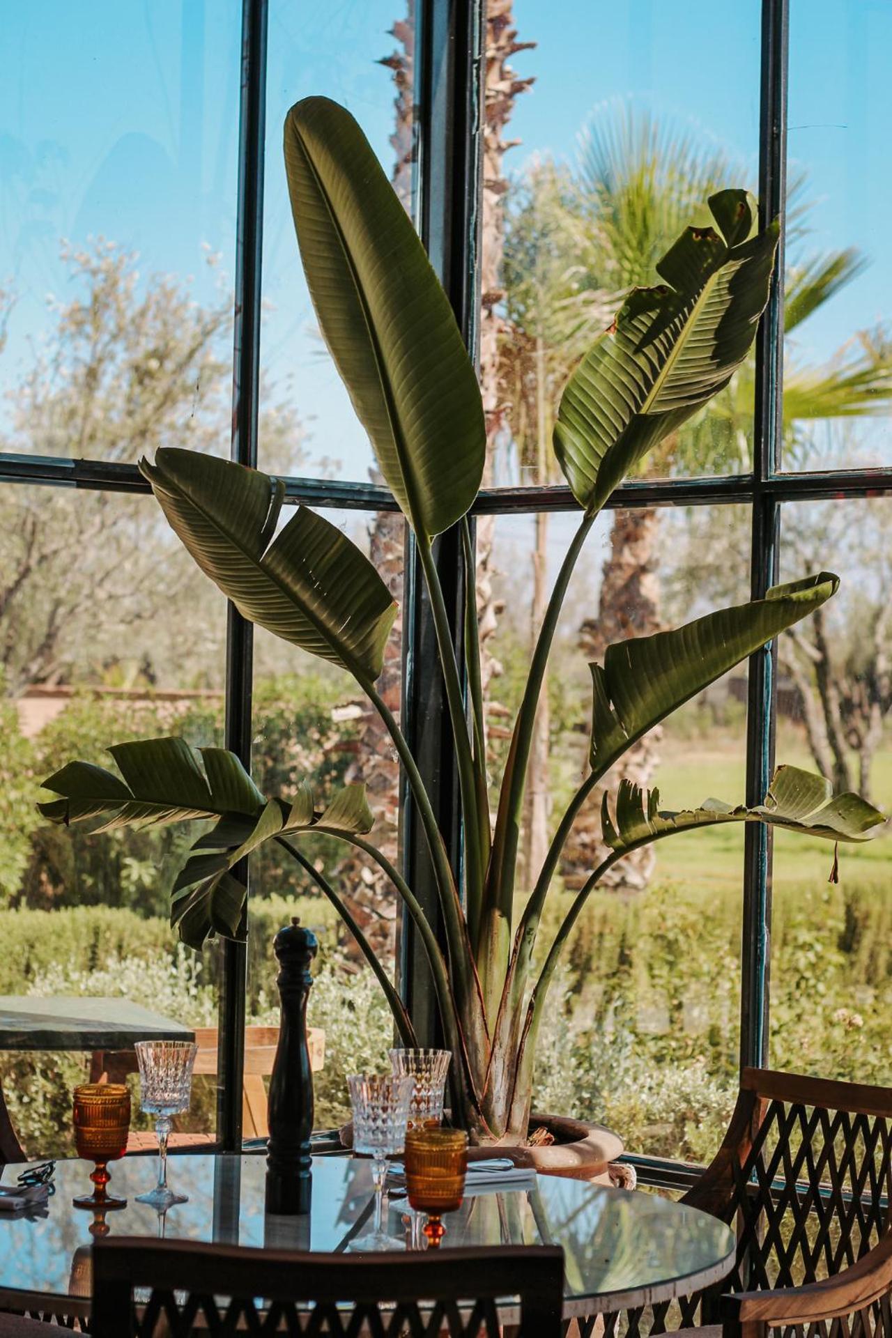 Hotel & Spa La Ferme El Dar - Photo 98