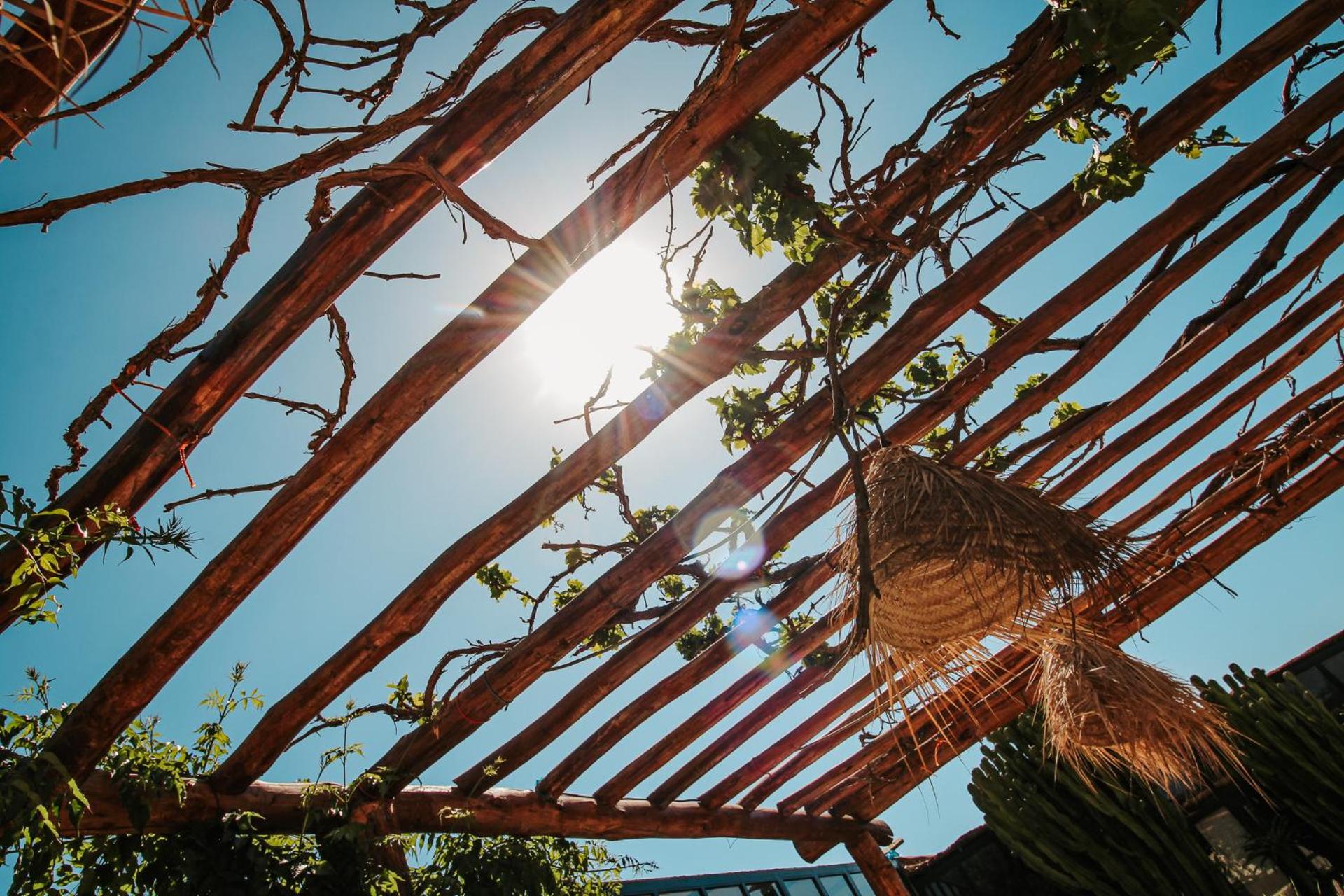 Hotel & Spa La Ferme El Dar - Photo 117