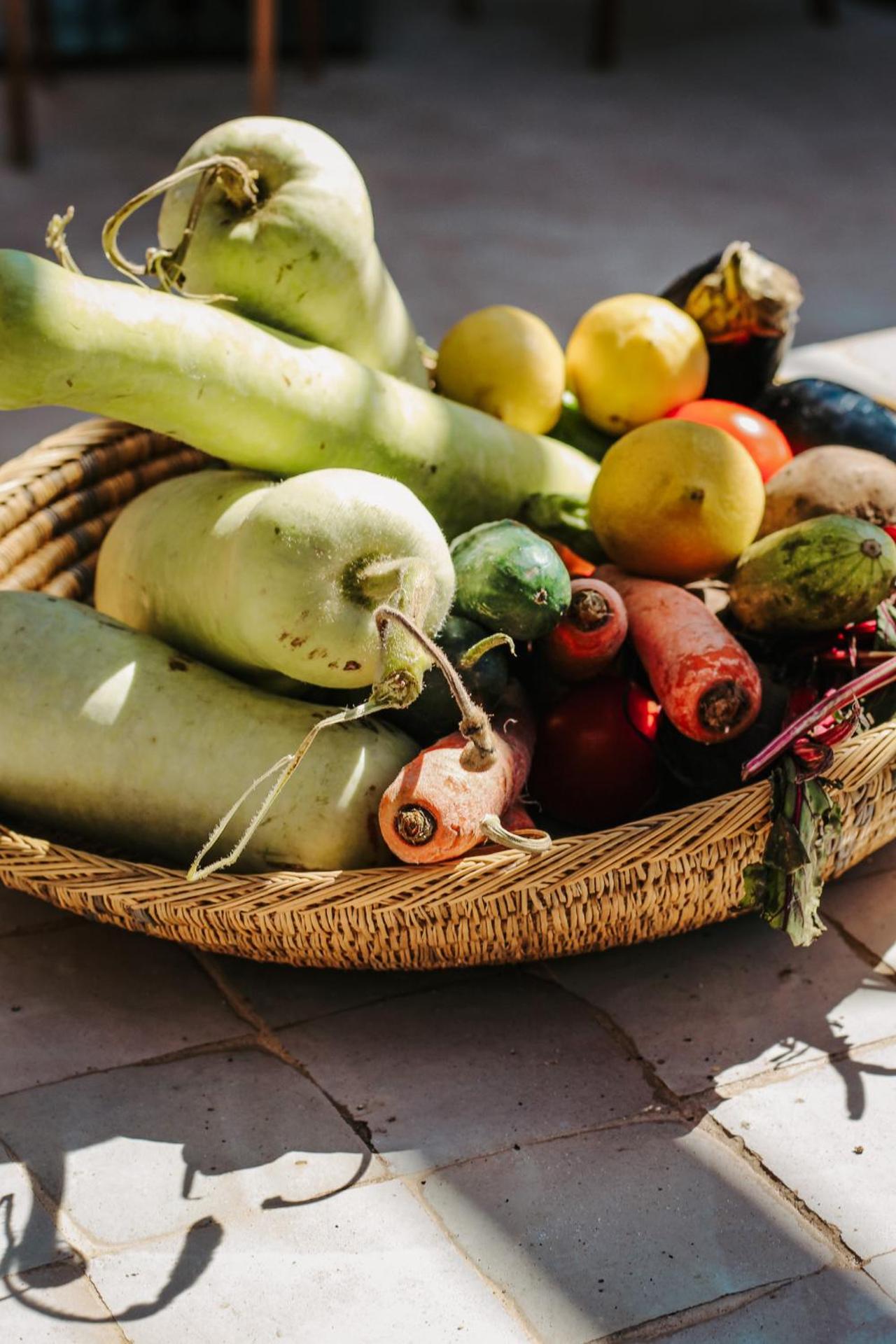 Hotel & Spa La Ferme El Dar - Photo 153