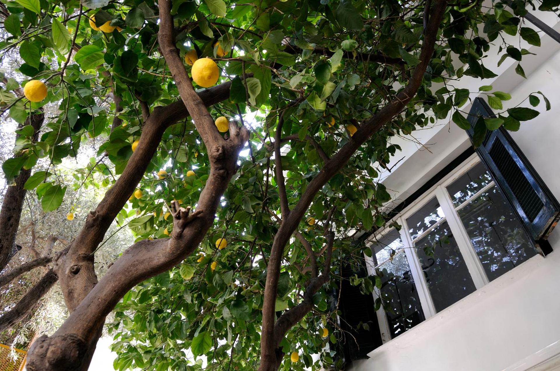 Athens Green Apartments - Photo 41