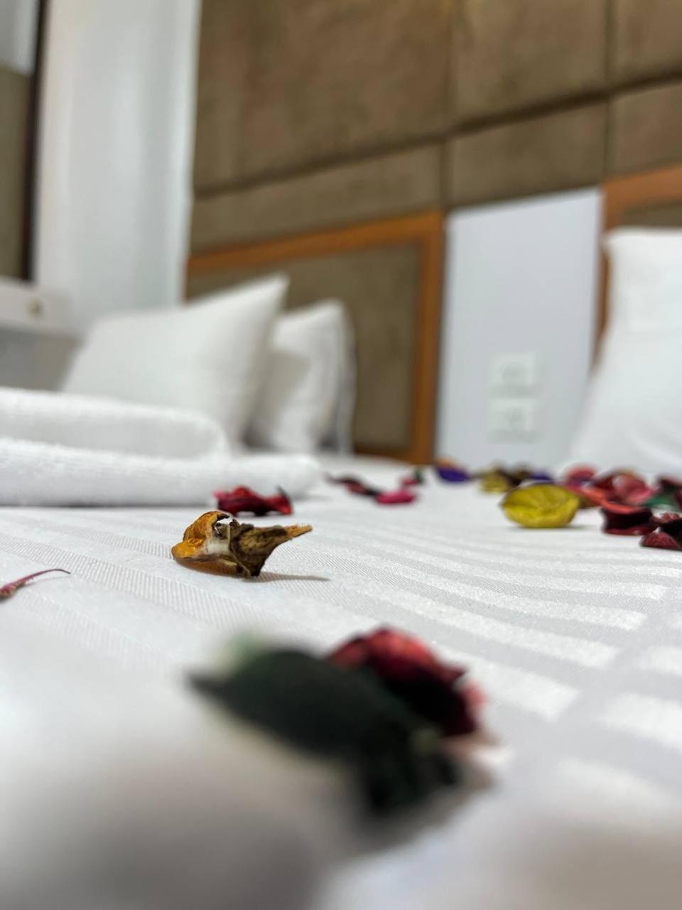 Future Hostel - Photo 107