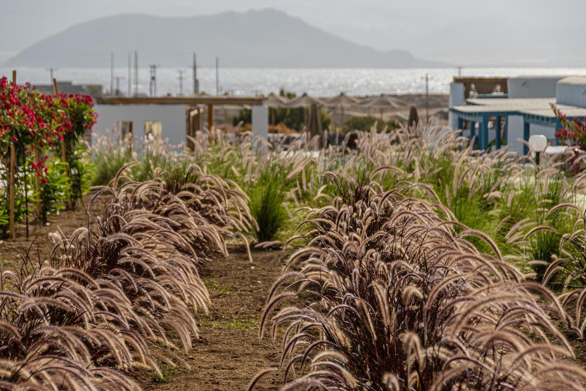 Lianos Village - Photo 88