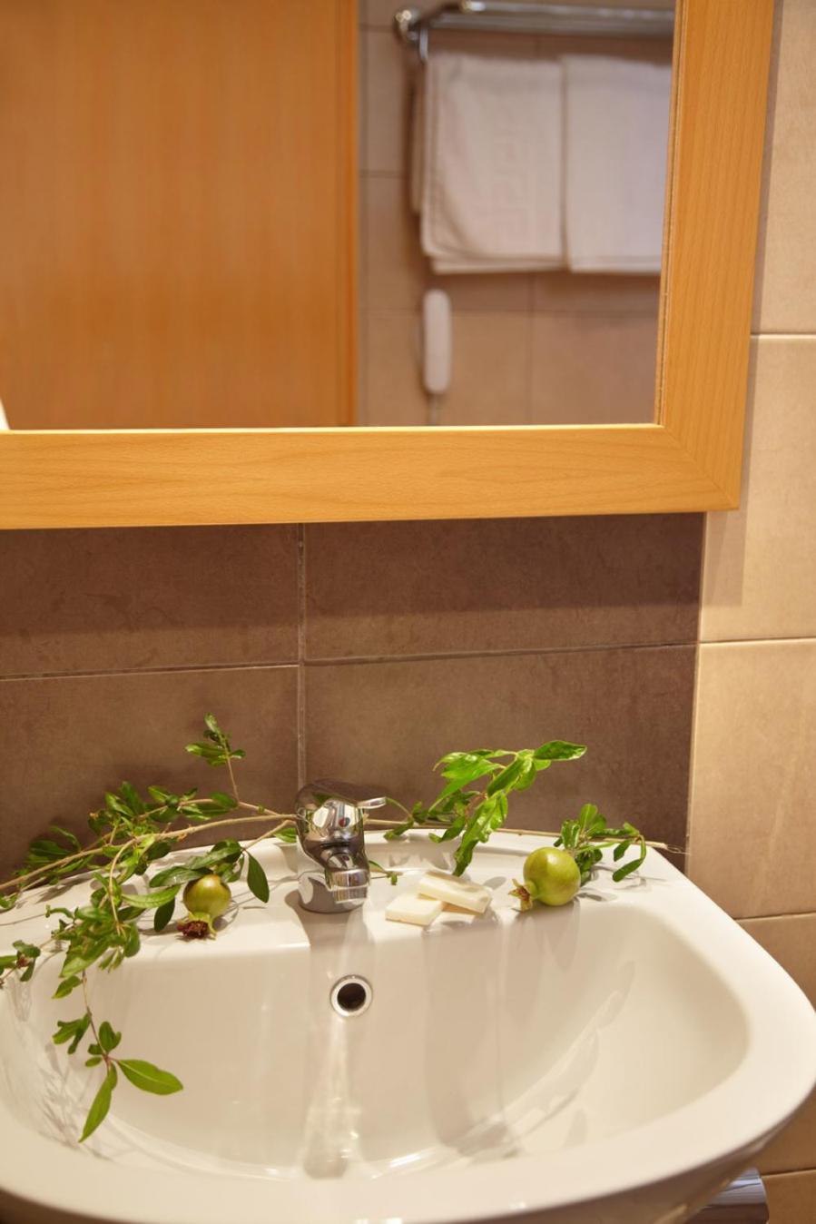 One-Bedroom Apartment (4 Adults)