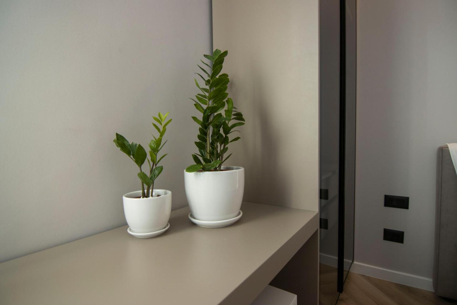 Mina Luxury Rooms - Photo 126