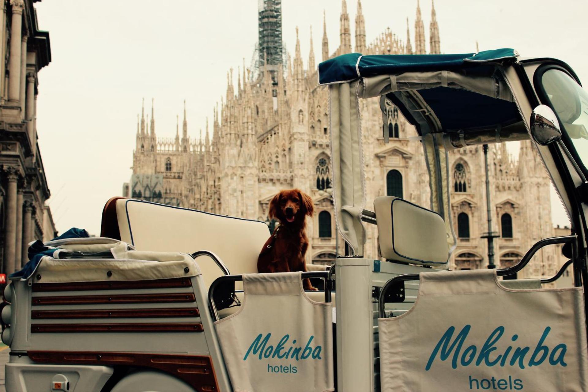 Mokinba Hotels Montebianco - Photo 2