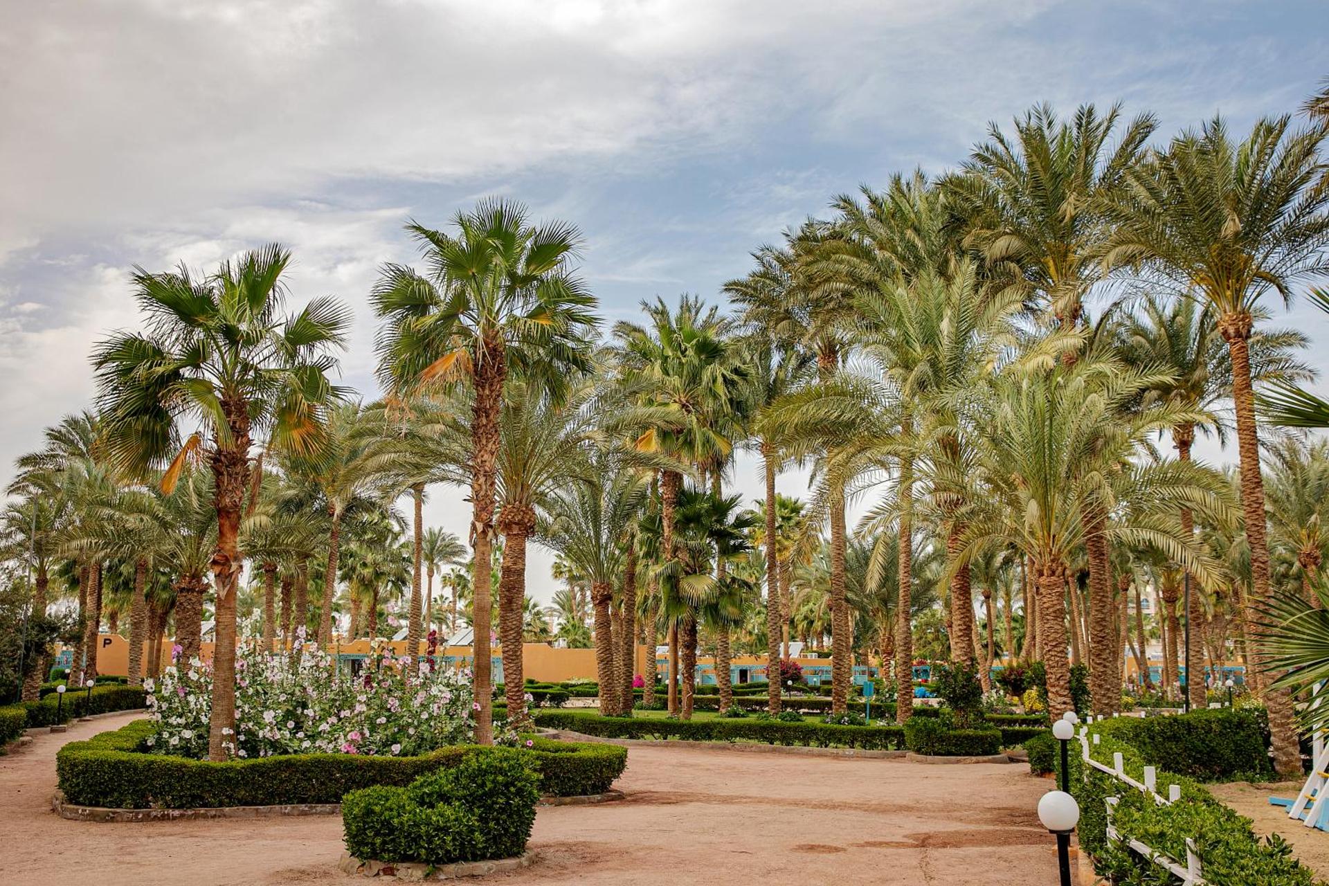 Giftun Azur Resort - Photo 100