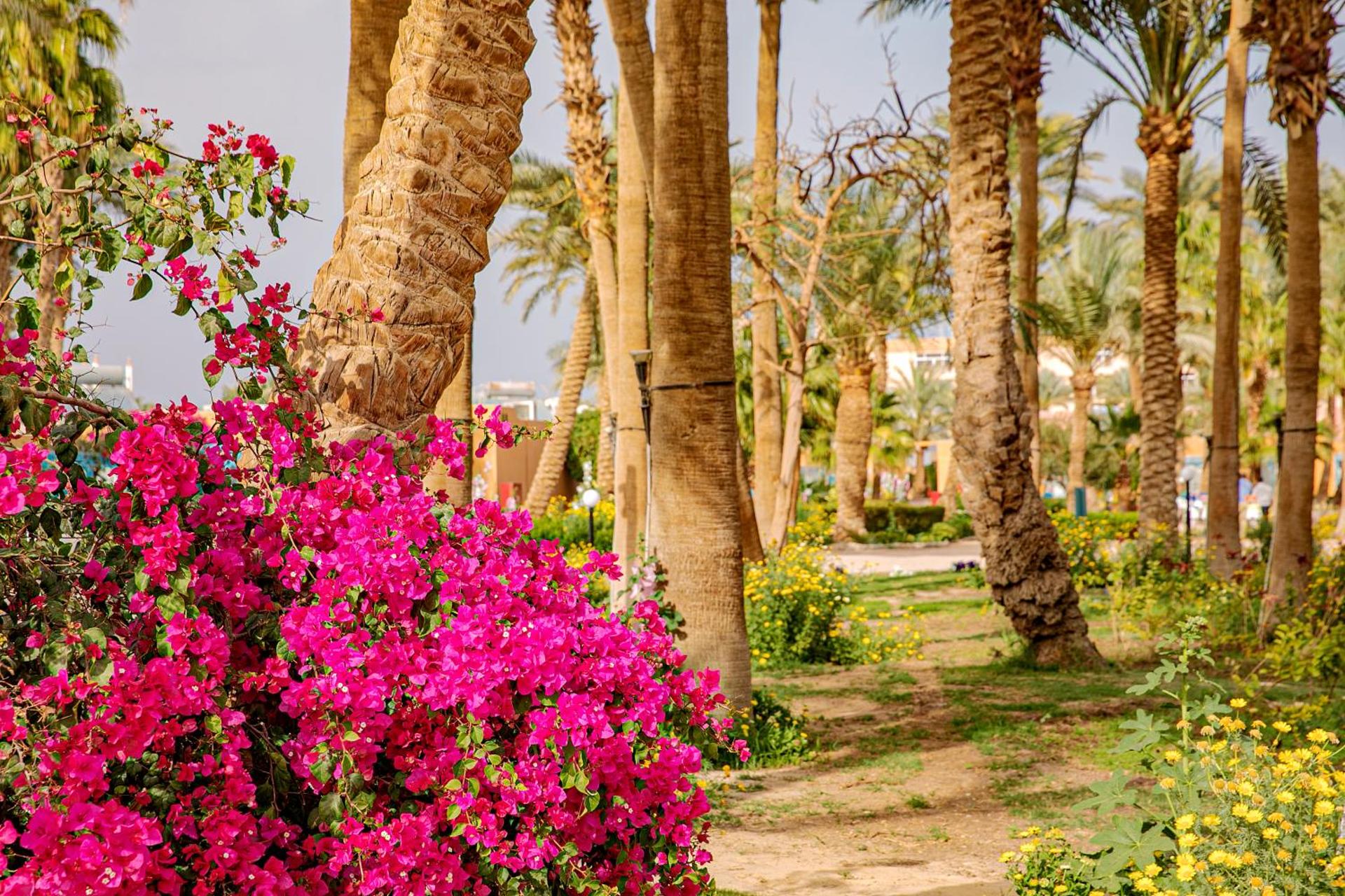 Giftun Azur Resort - Photo 102