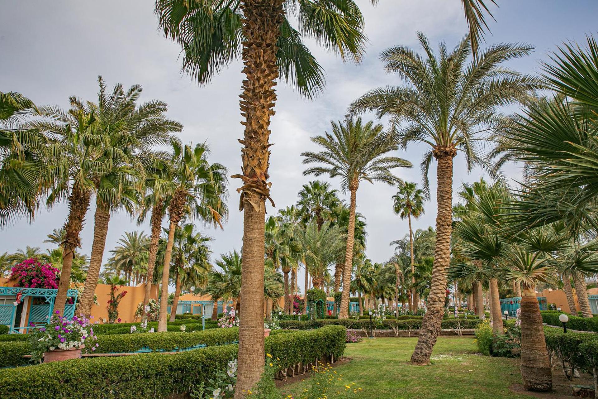 Giftun Azur Resort - Photo 105