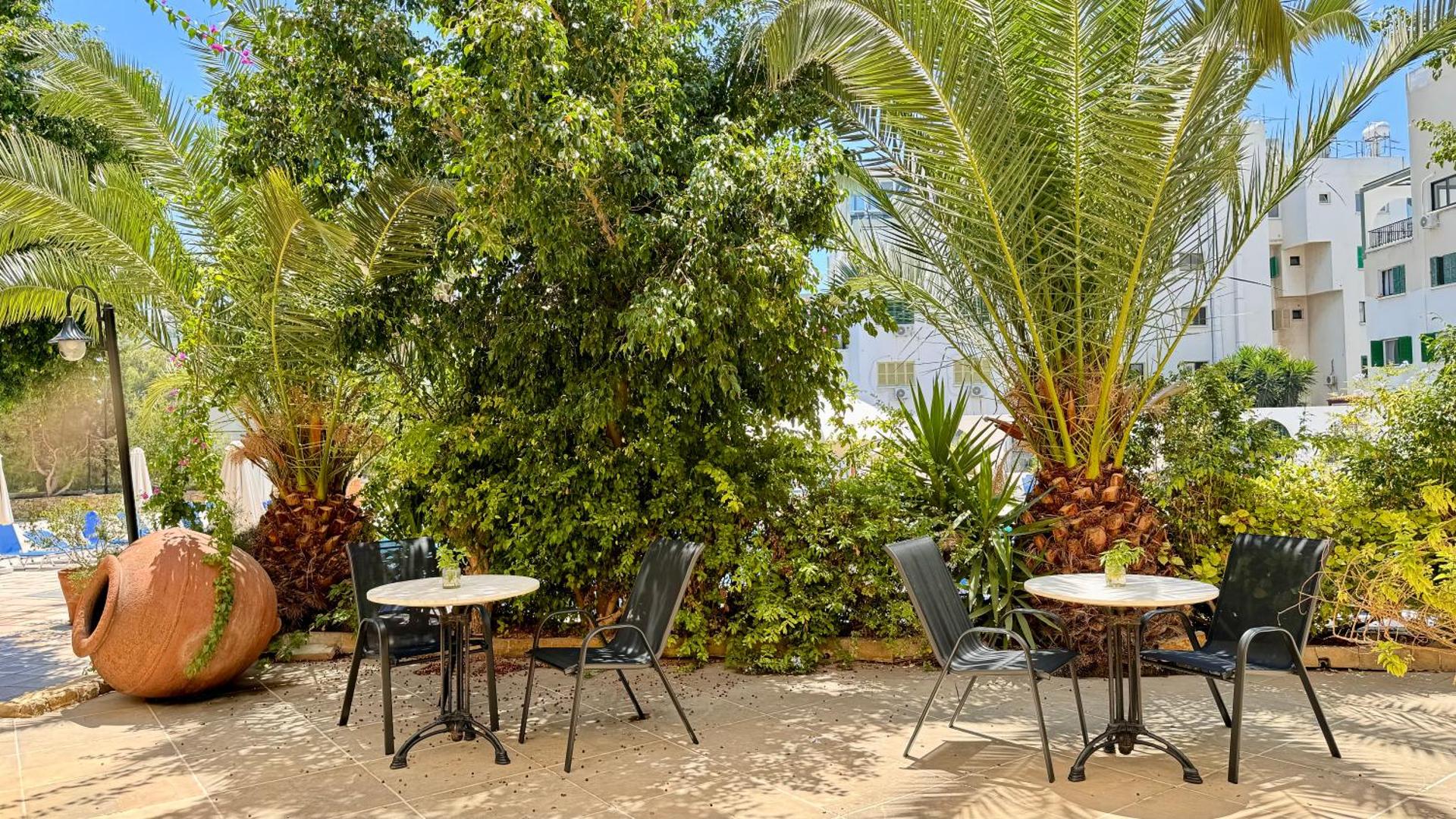 Navarria Blue Hotel - Photo 4