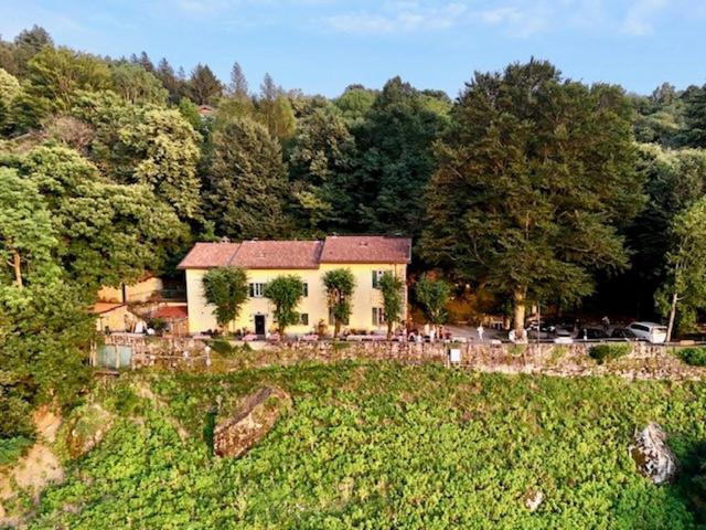 Ristorante Hotel Falchetto - Photo 3