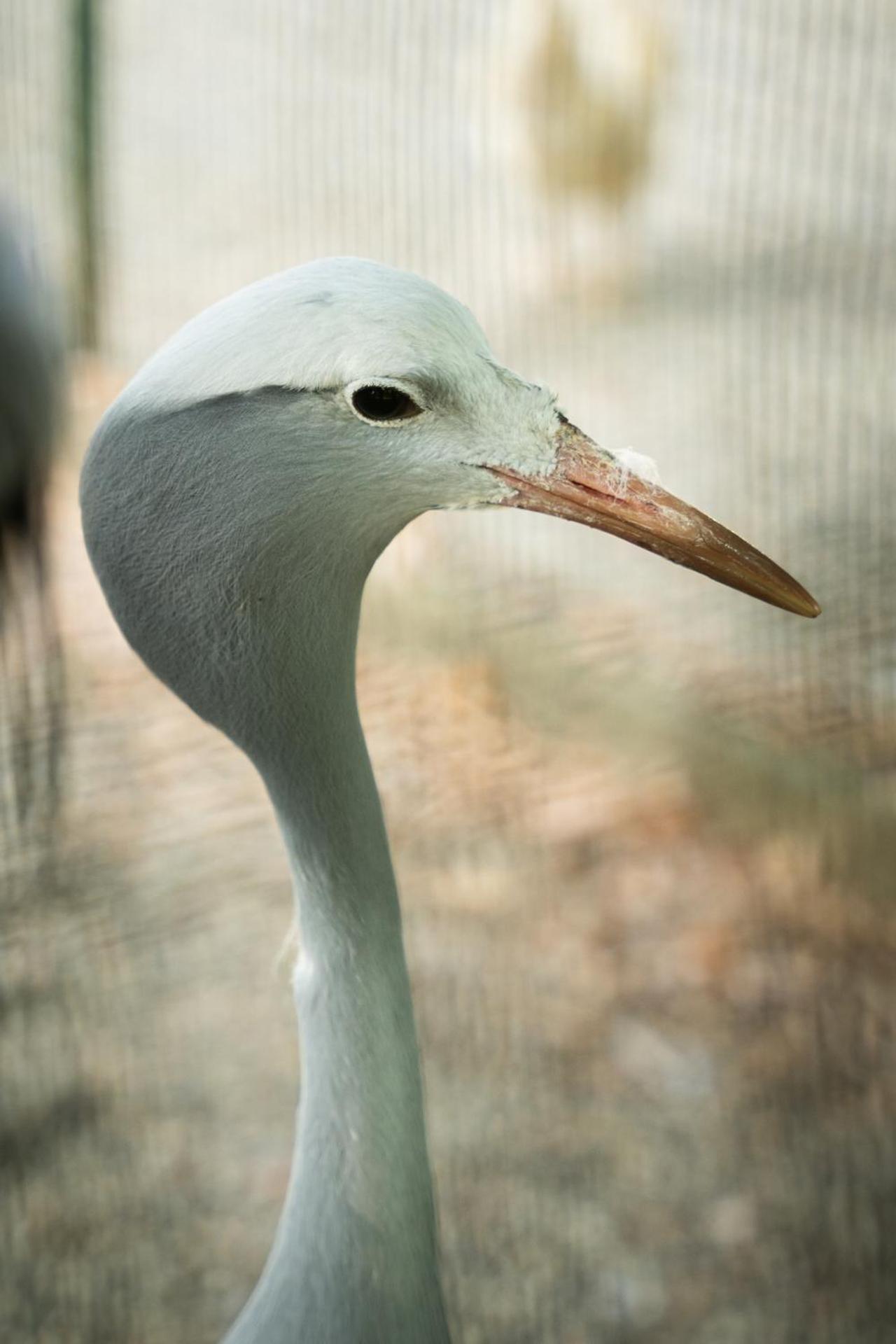 Terme Di Monte Valenza - Photo 19