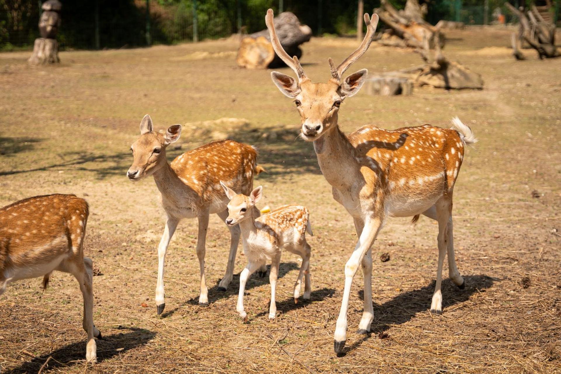 Terme Di Monte Valenza - Photo 16
