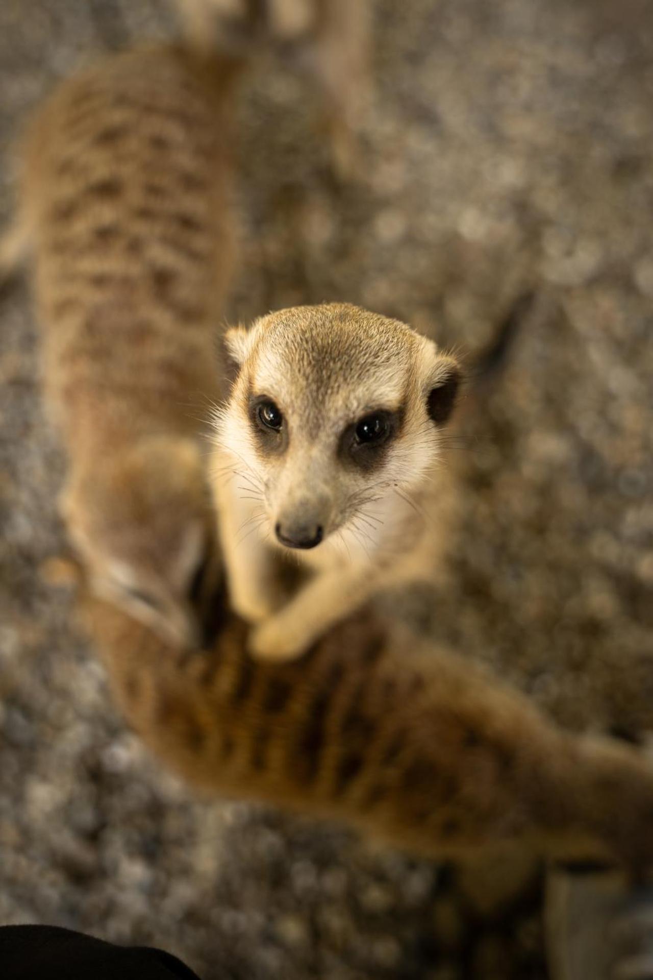 Terme Di Monte Valenza - Photo 18