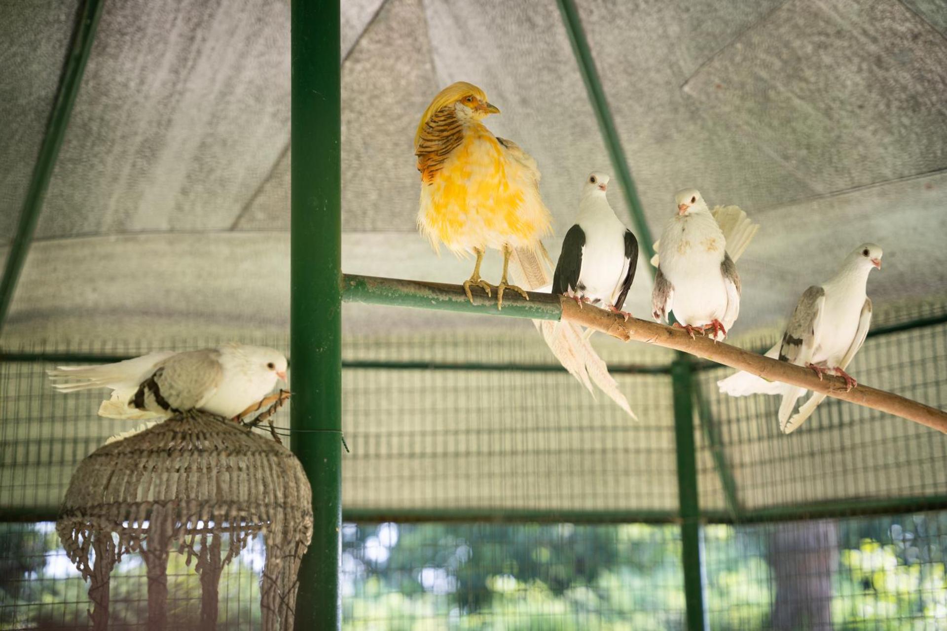 Terme Di Monte Valenza - Photo 24