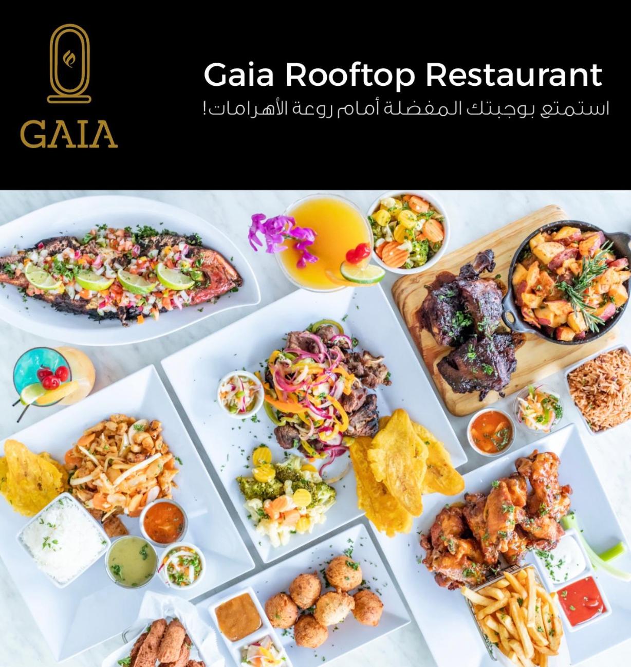 Gaia Pyramids Hotel - Photo 114