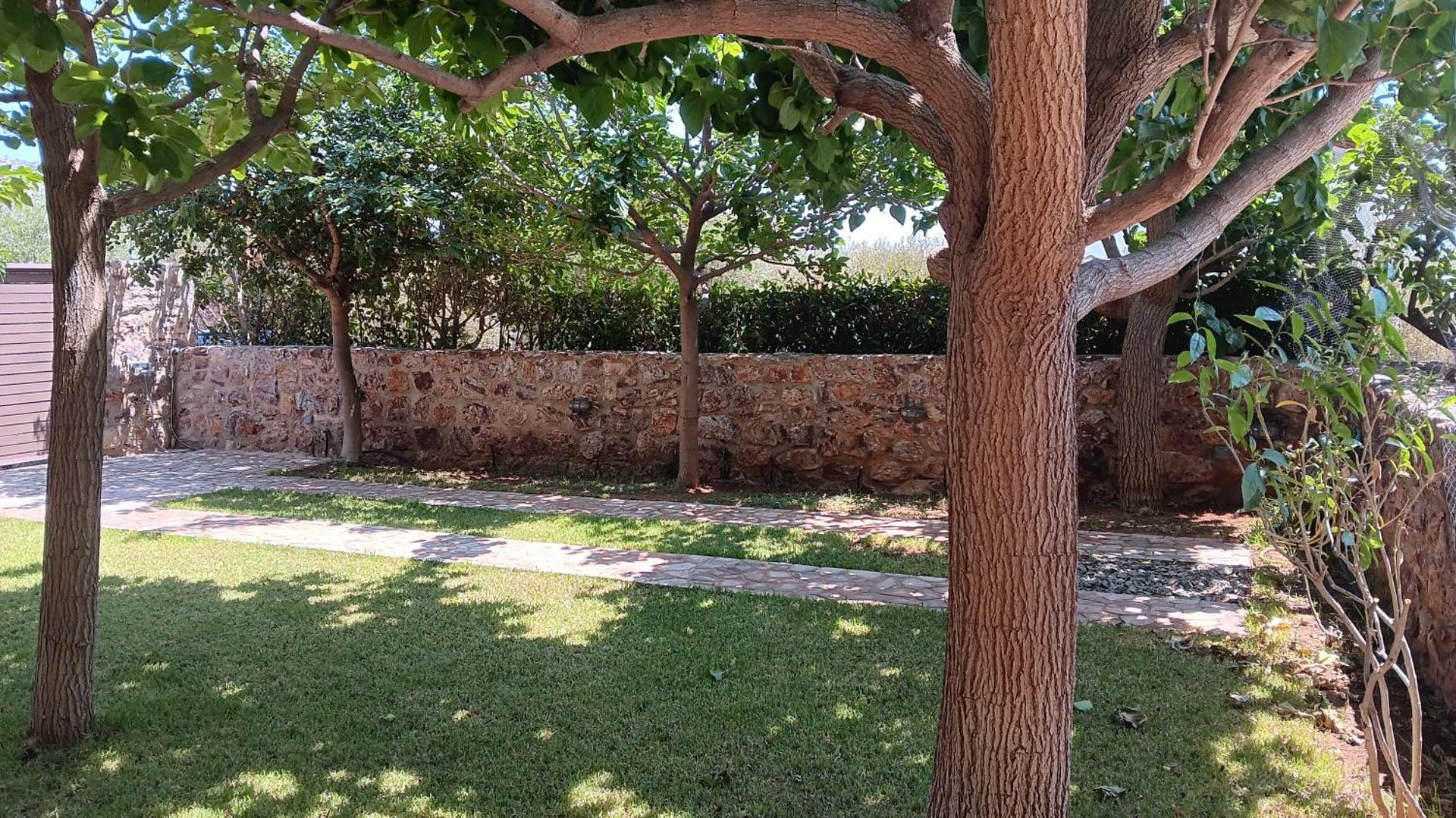 Sounion Green Retreat - Photo 15