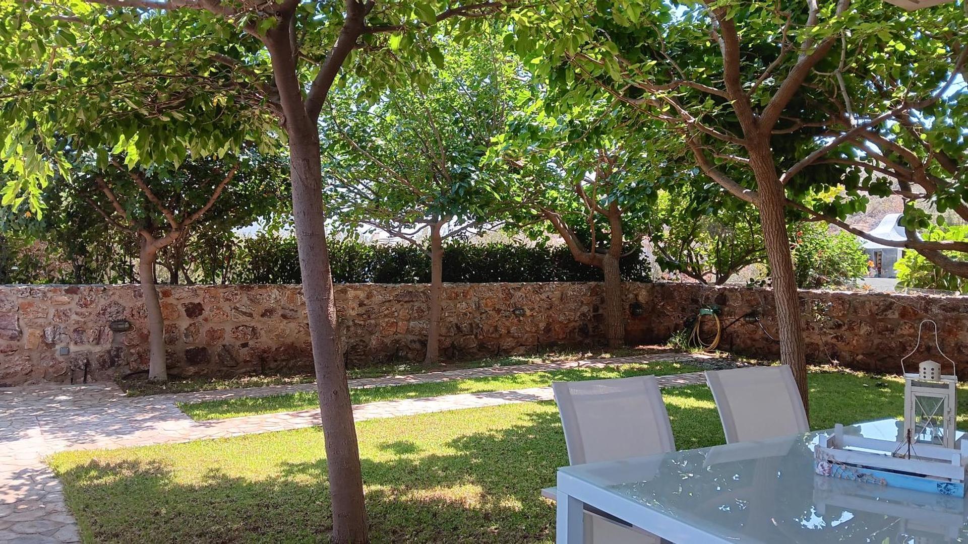 Sounion Green Retreat - Photo 19