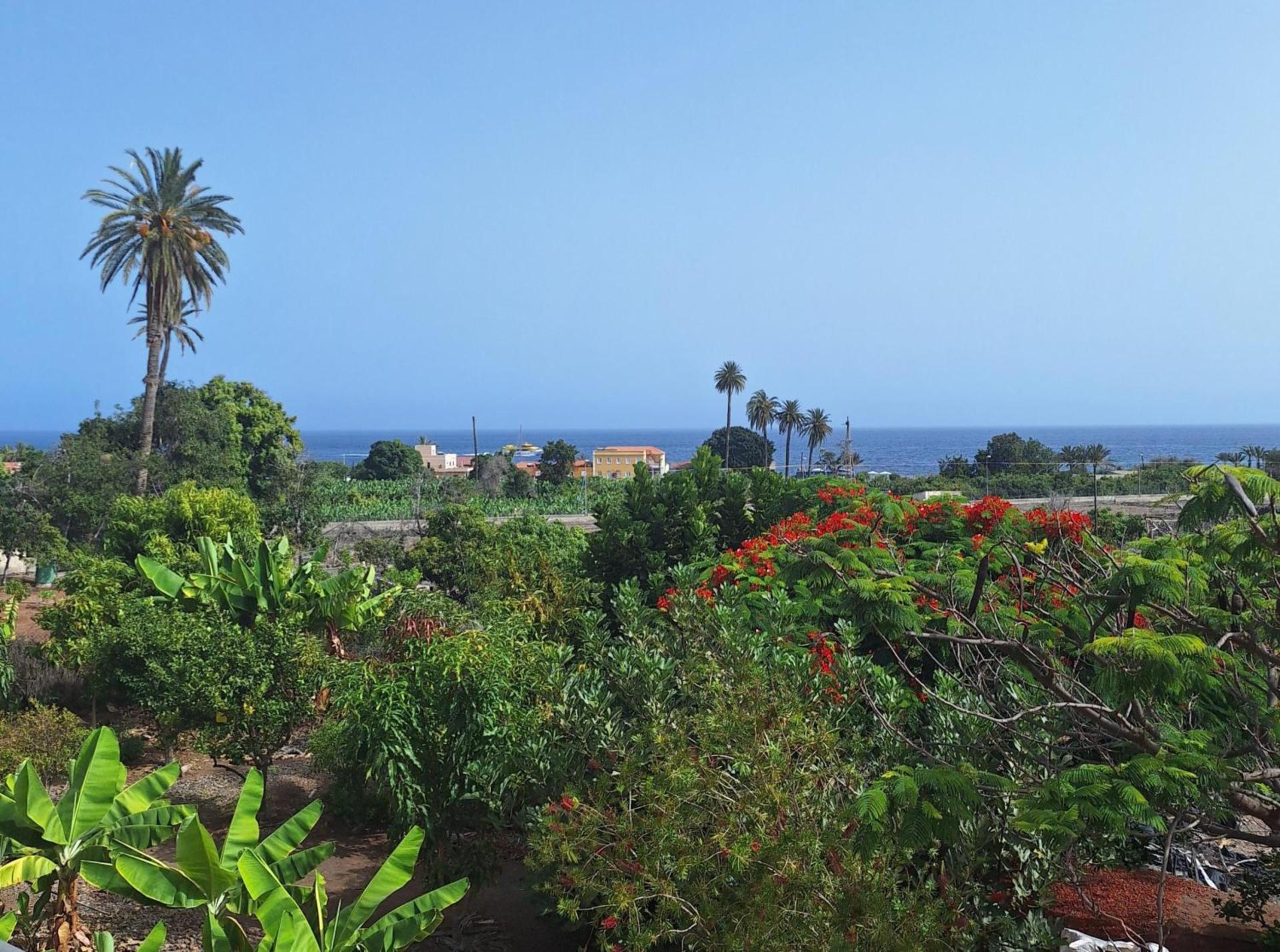 Apartamentos Bellavista Gomera - Photo 118