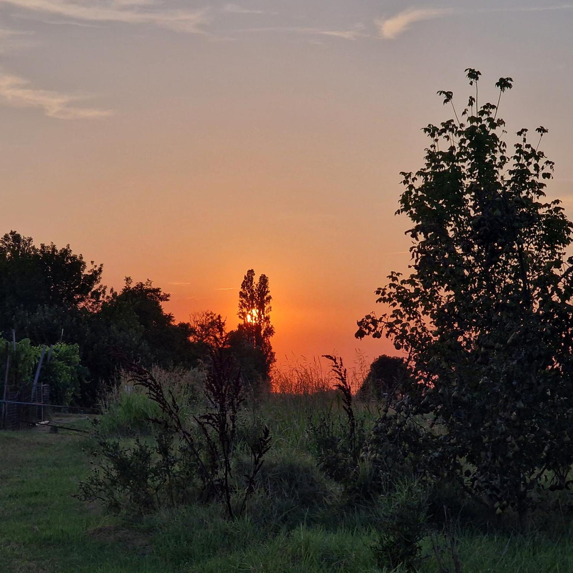 Appartamento Divino Tramonto - Photo 58