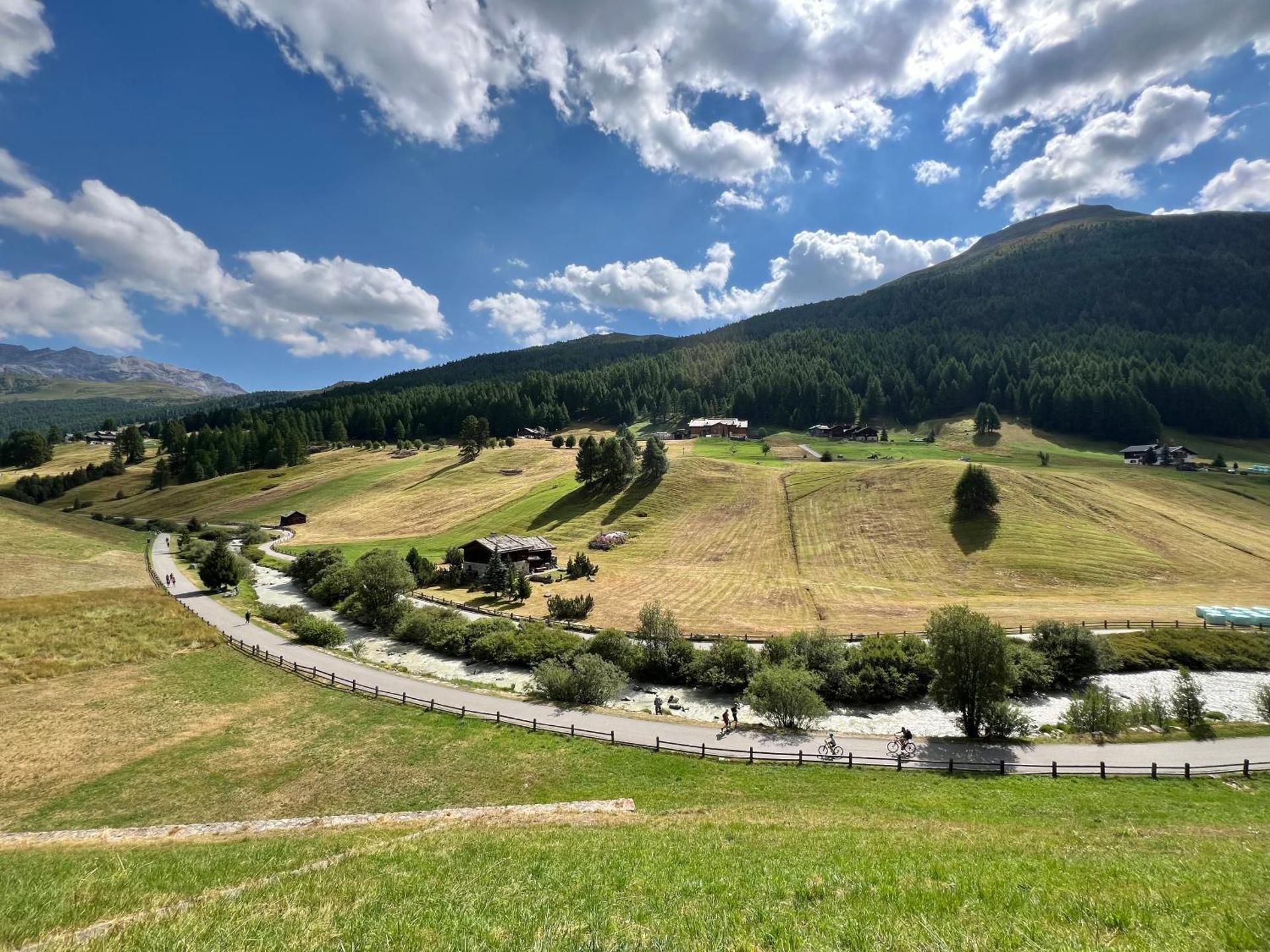 Hotel Primula - Photo 160