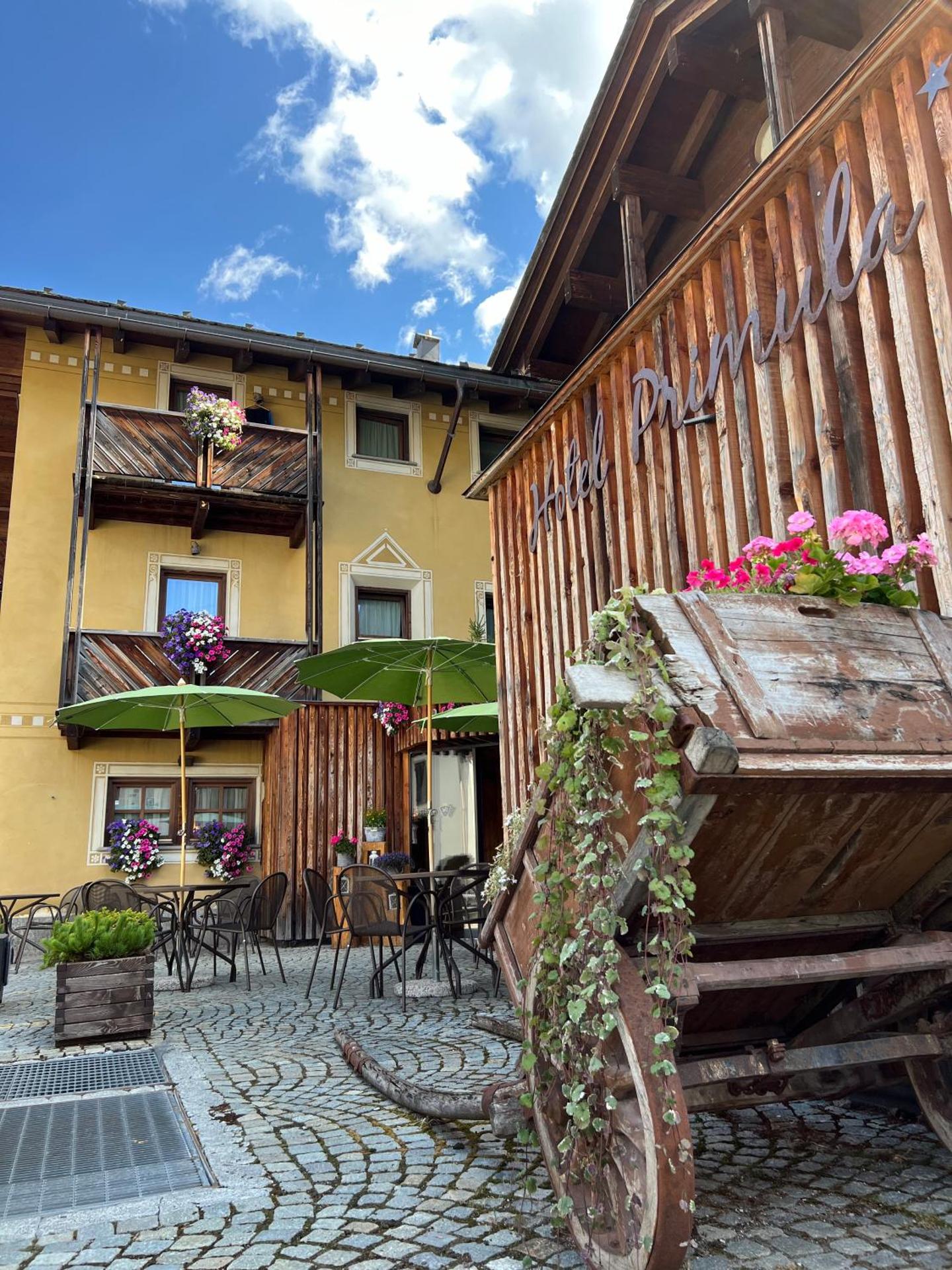 Hotel Primula - Photo 154