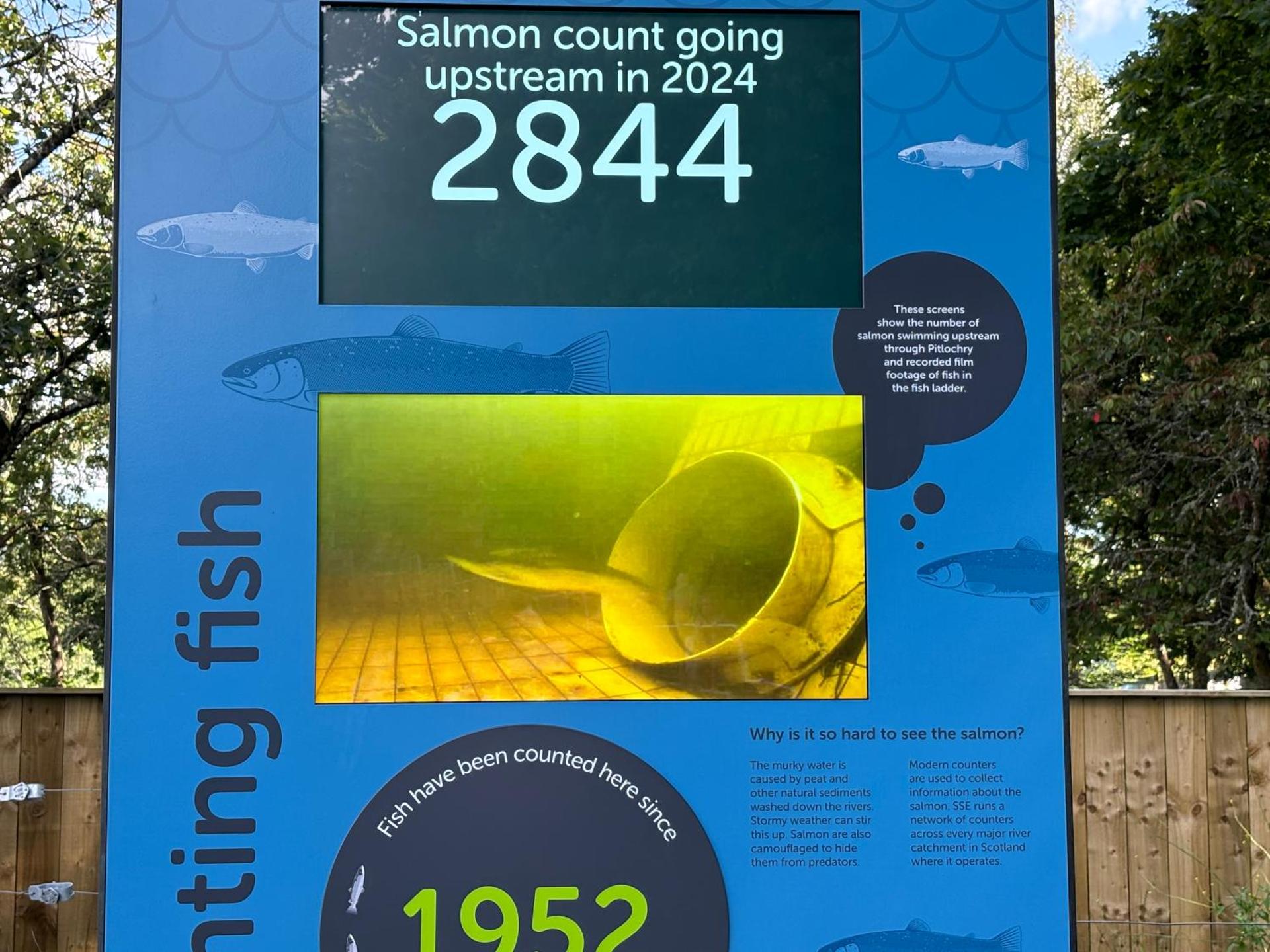 Carra Beag Guest House - Photo 34