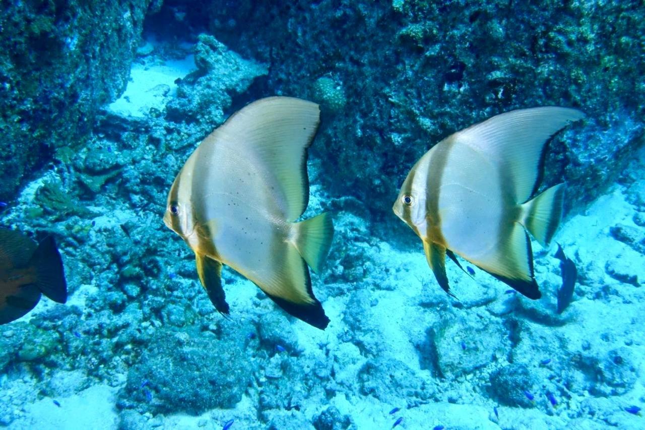 La Digue Island Lodge - Photo 93