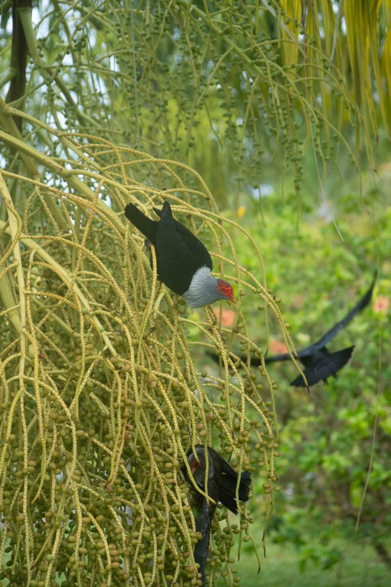 La Digue Island Lodge - Photo 99