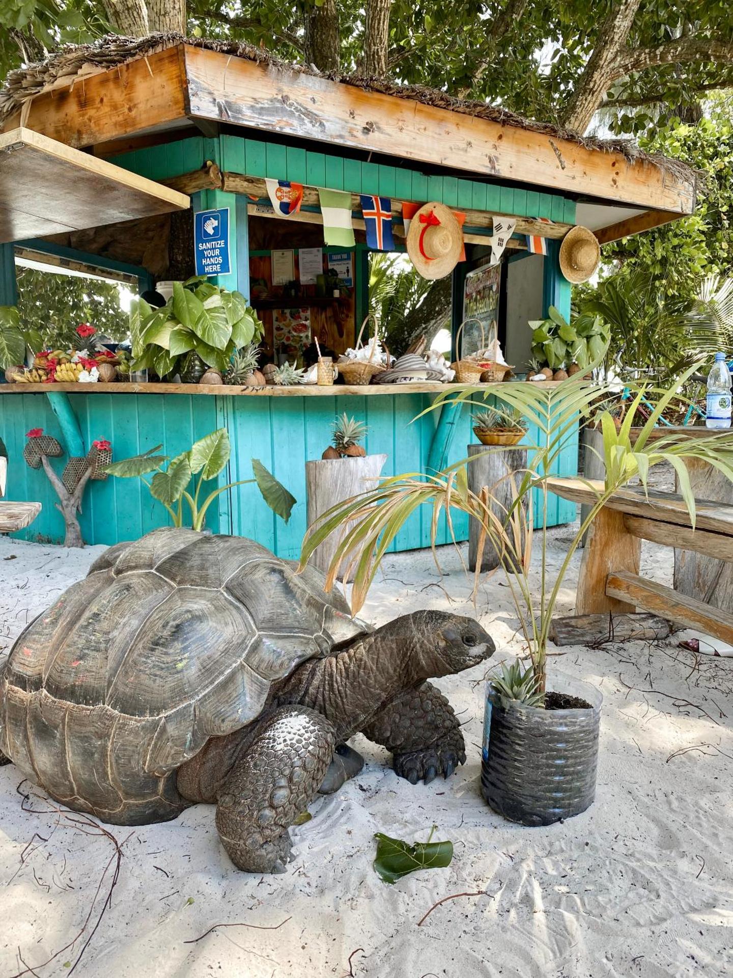 La Digue Island Lodge - Photo 110