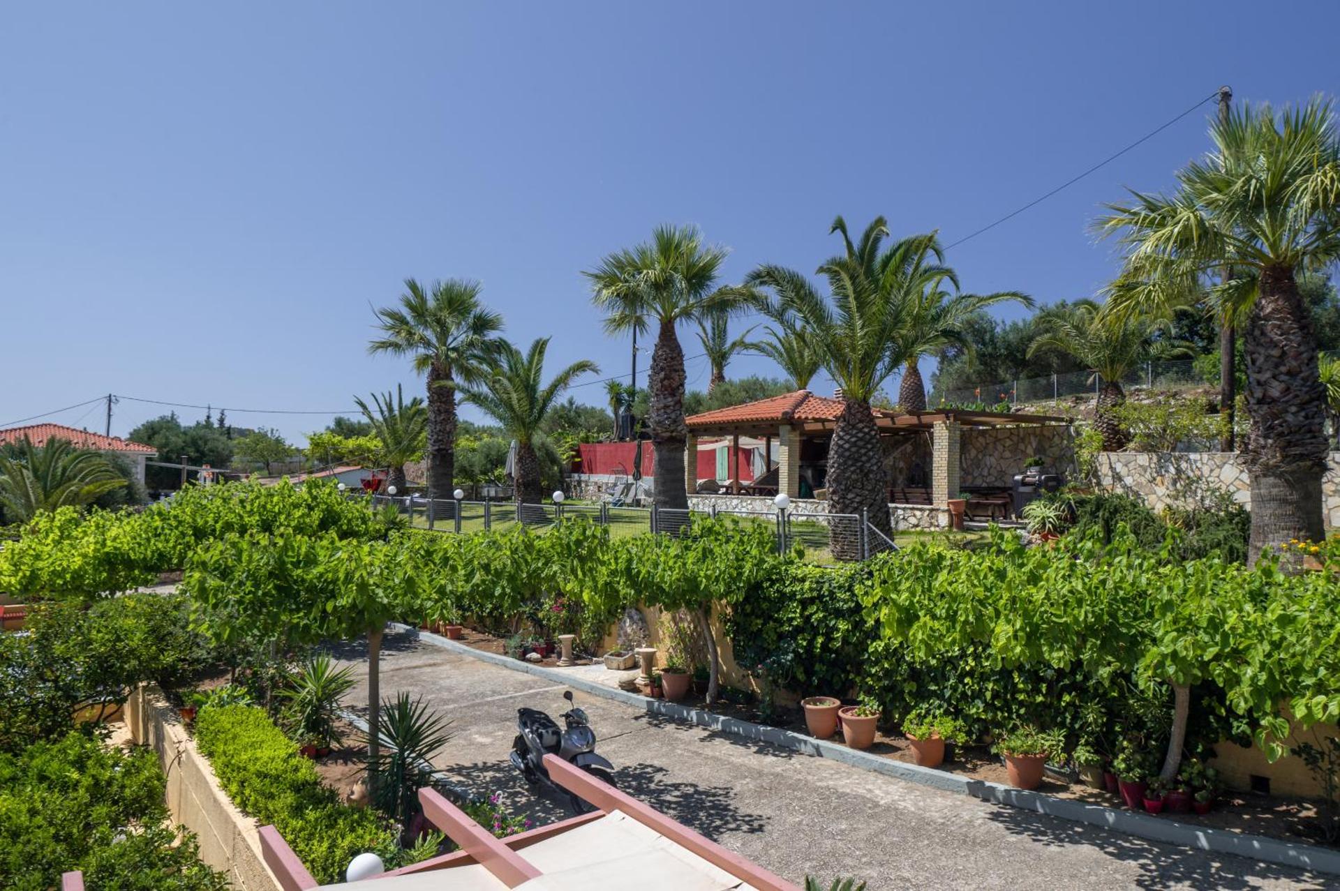 Studios Rania - Rania Studios & Apartments - Photo 18