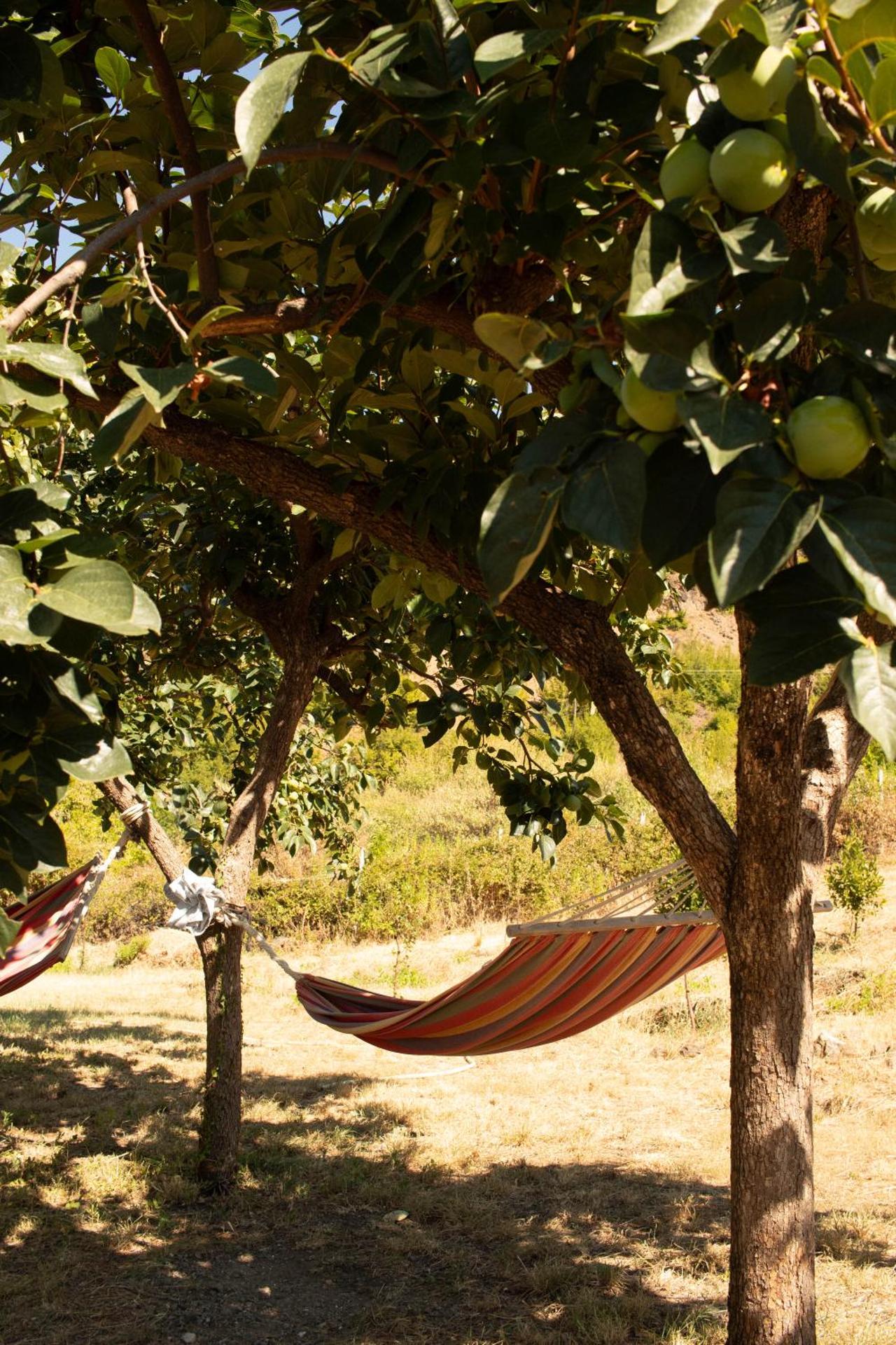 Agroturizem Hotel Vila Franceze - Photo 12