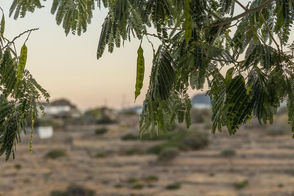 Milos Trypiti sunset delux studio - Photo 23