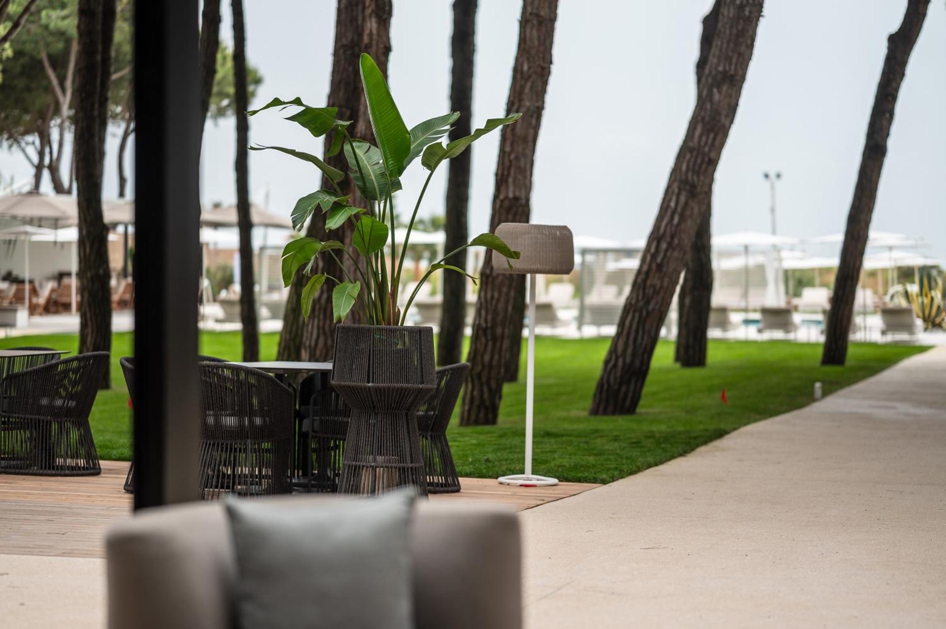 Bellevue Hotel & Resort - Photo 264