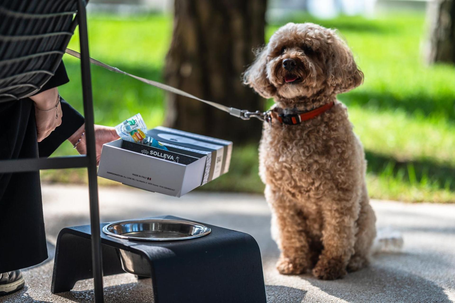 Bellevue Hotel & Resort - Photo 227