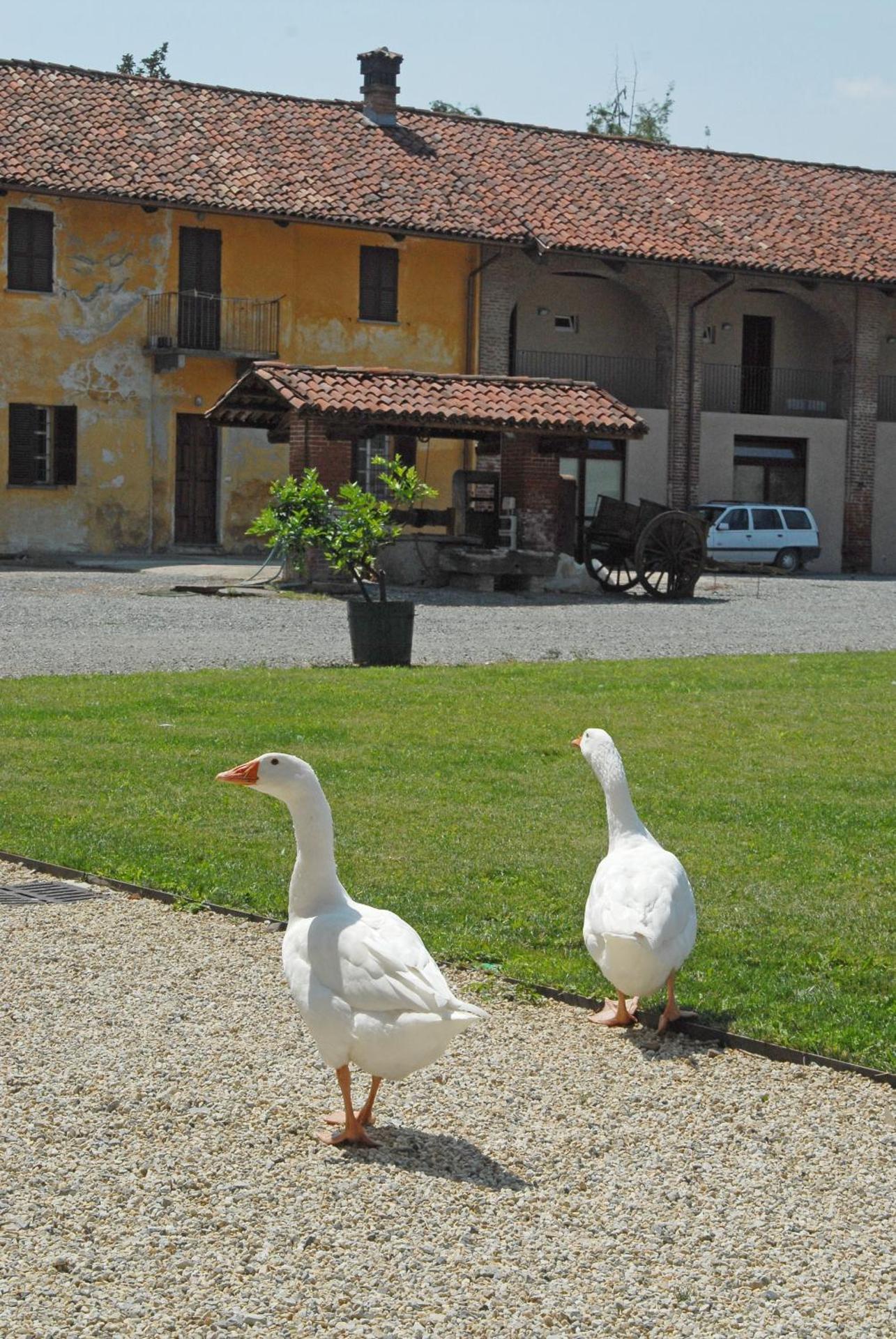 Hotel Antico Podere Propano - Photo 24