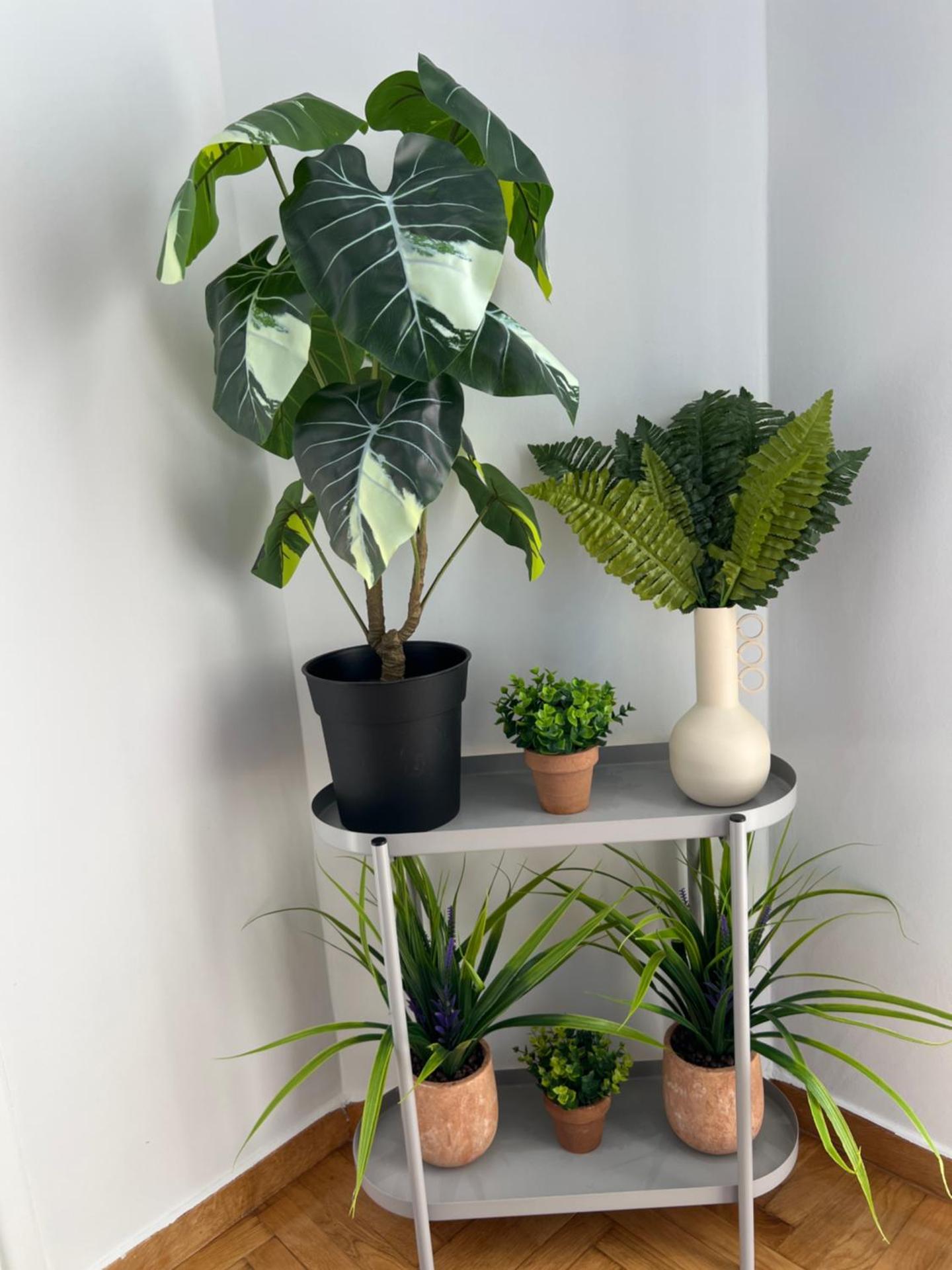 Four Seasons Apartment - Photo 42