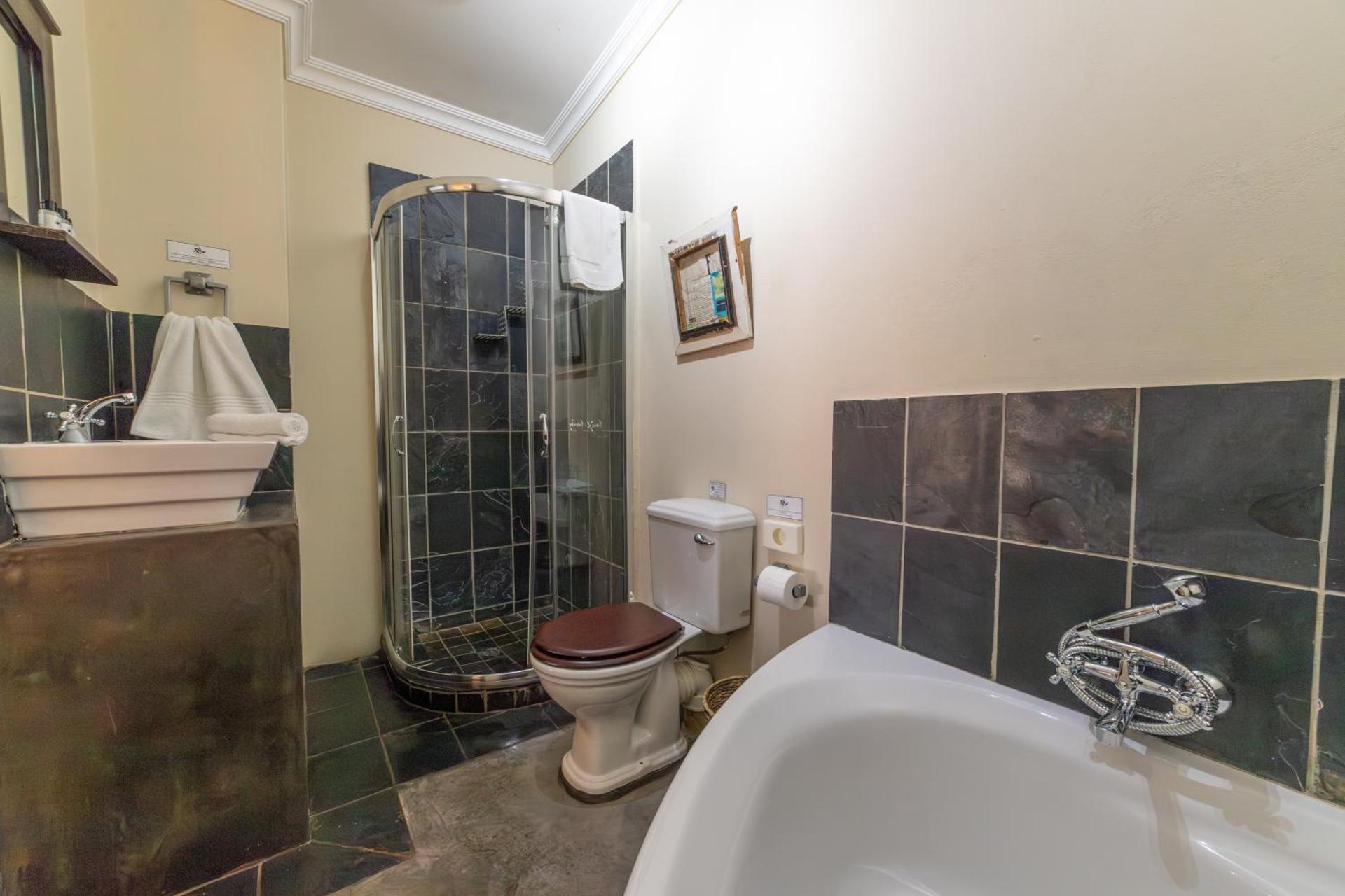 One Bedroom Apartment