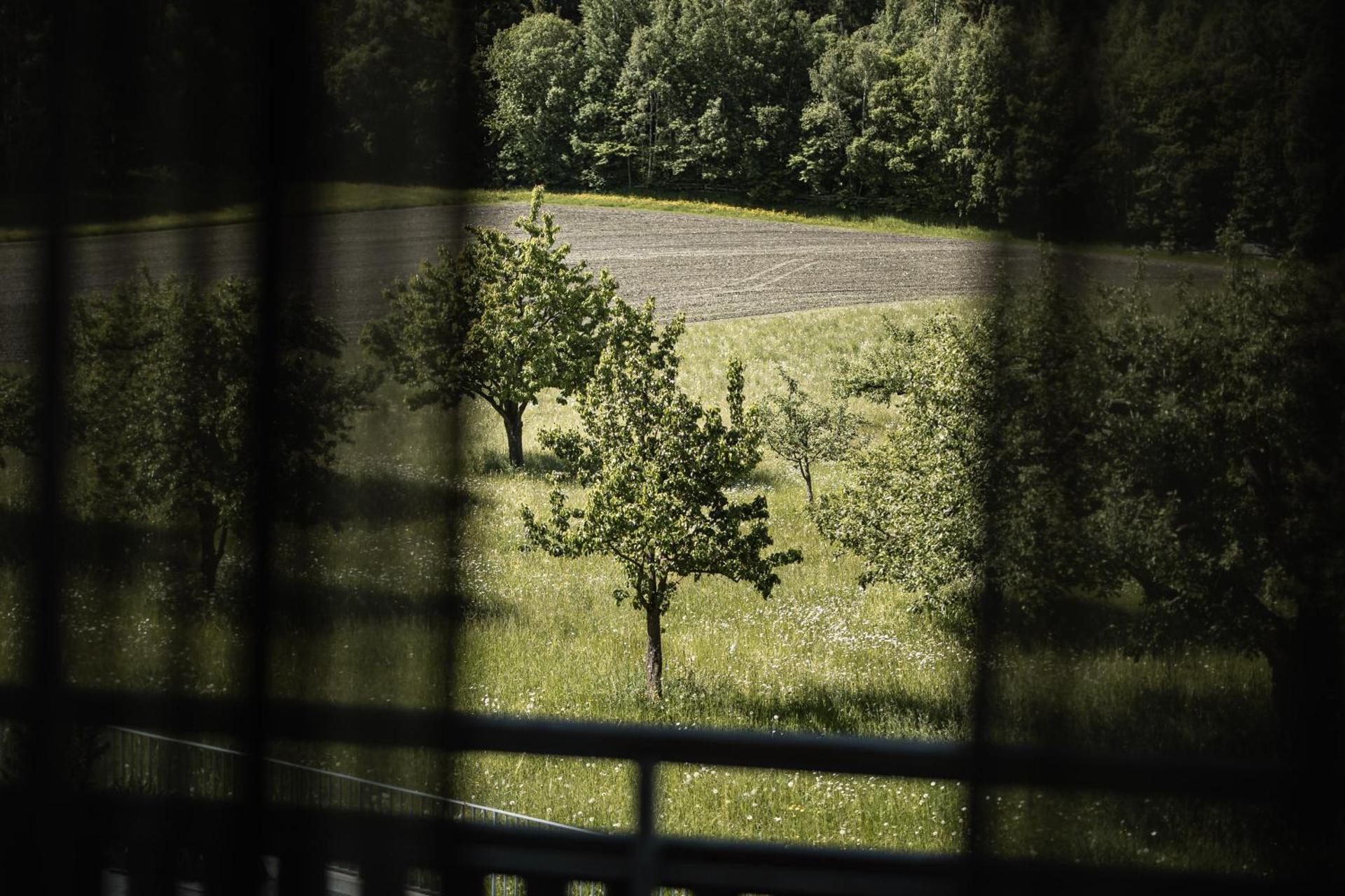 Hotel Petrus - Photo 37