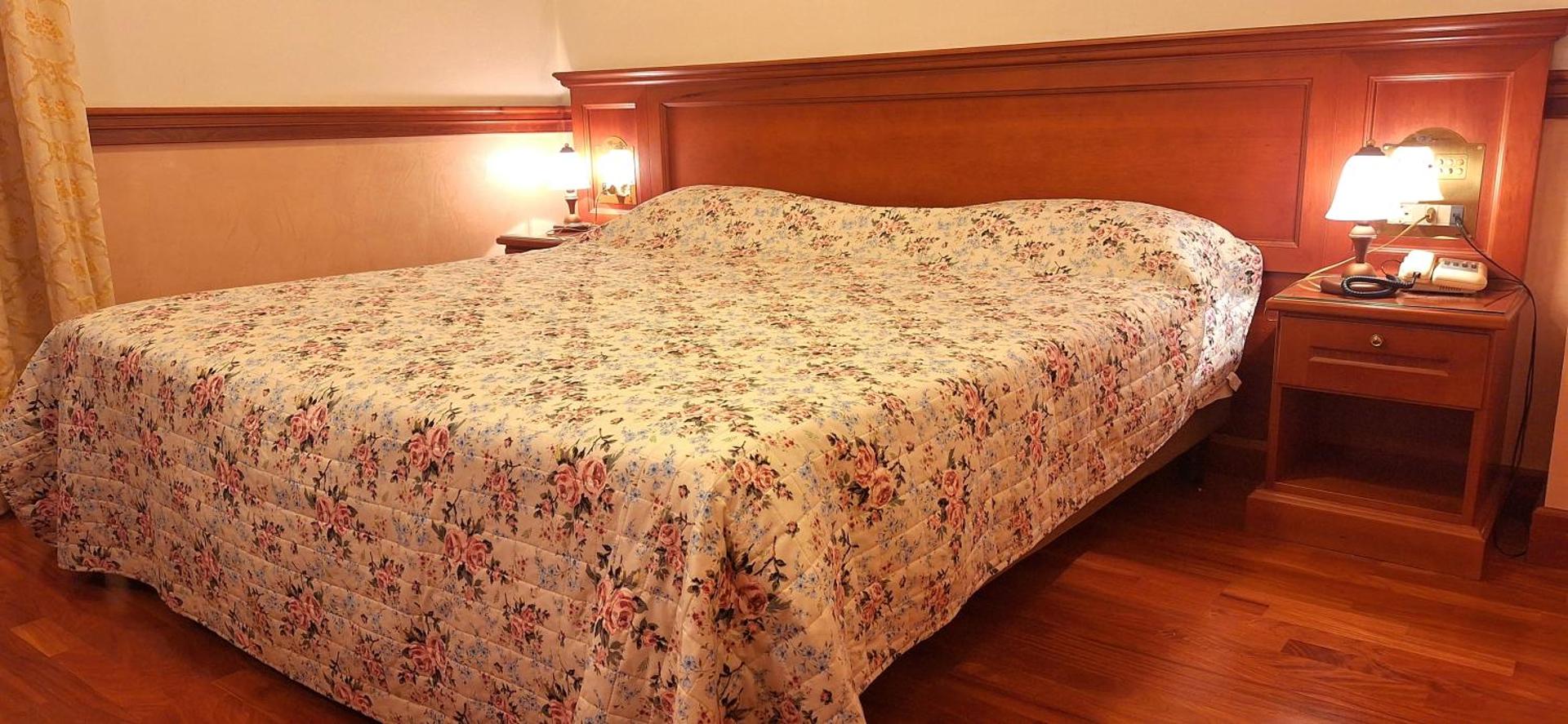 Hotel Minerva - Photo 3