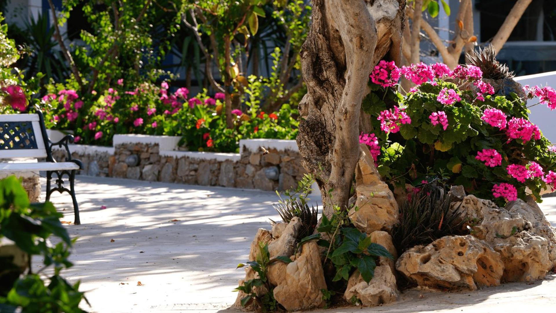 Lakki Village - Photo 138