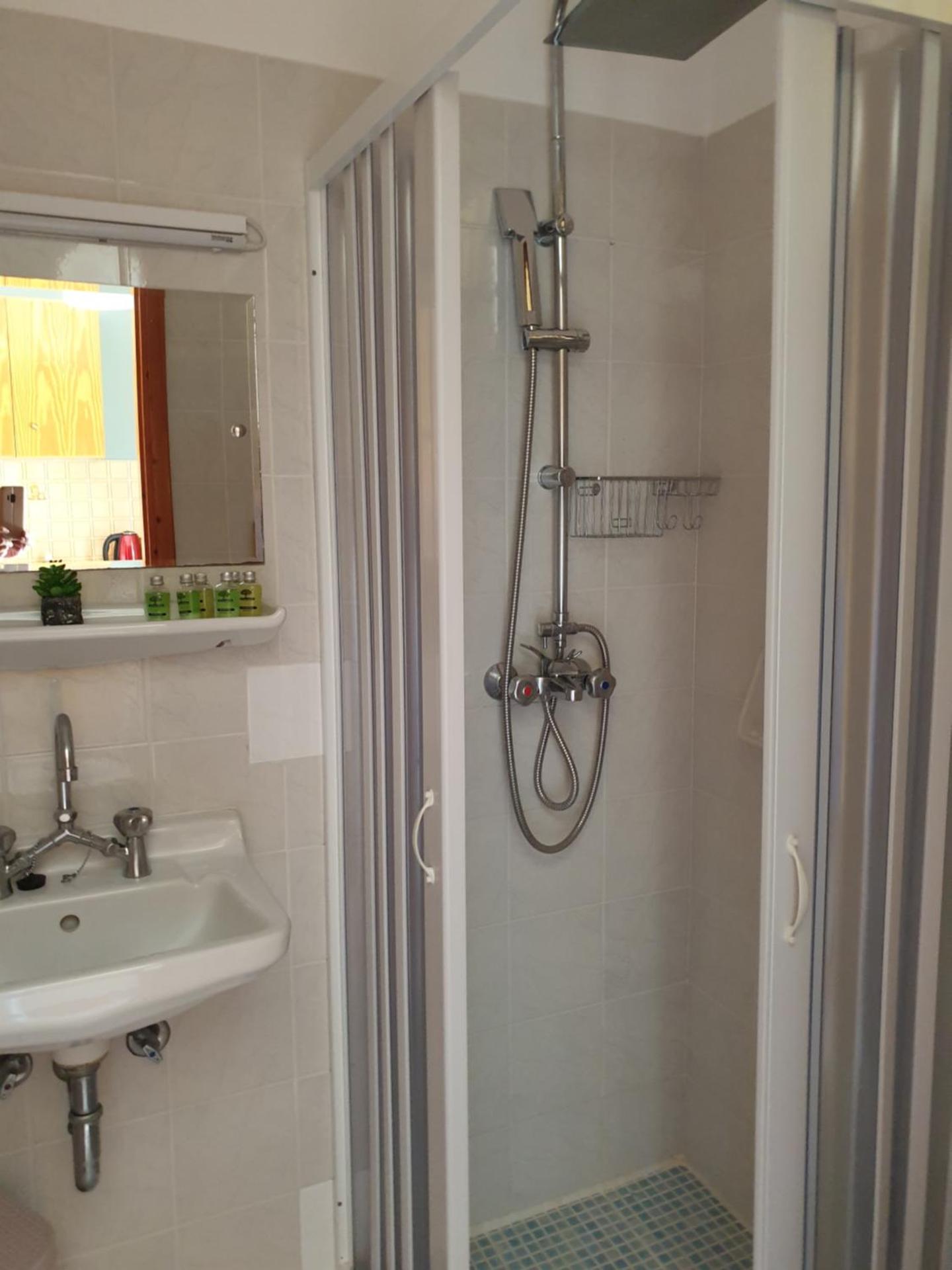 Dendrolivano - Photo 65